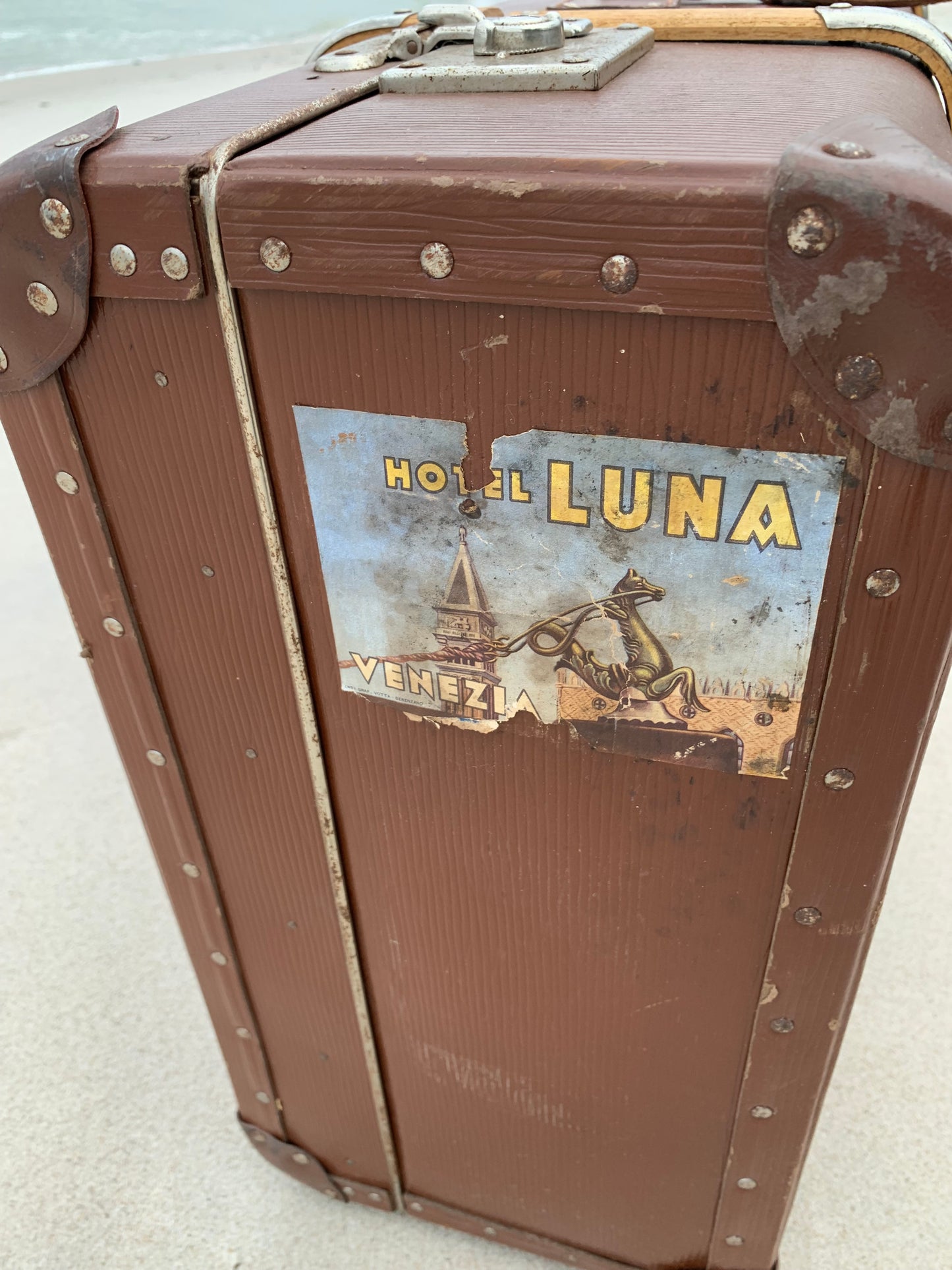 Stor stam med träribbor