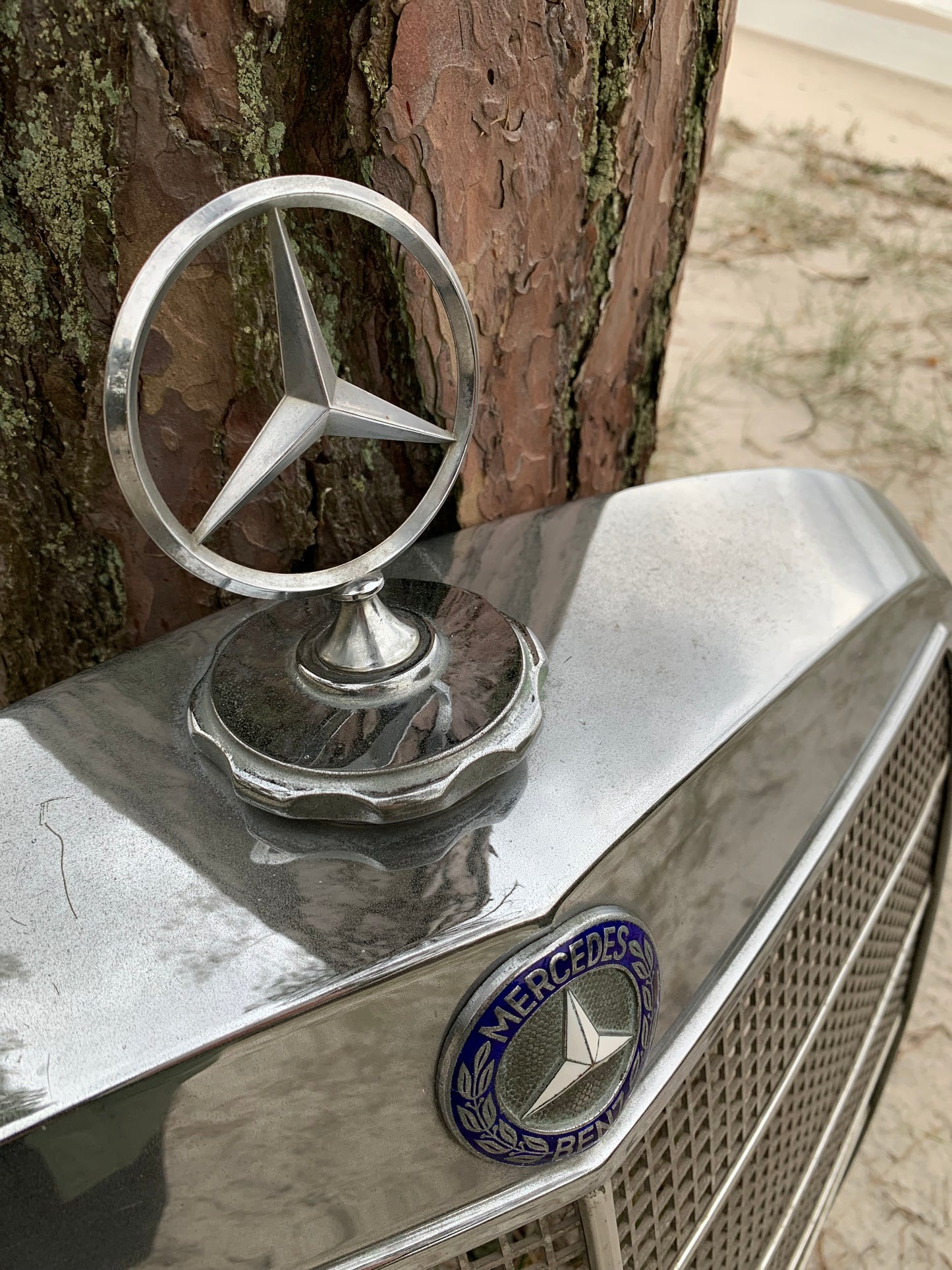 Mercedes Benz