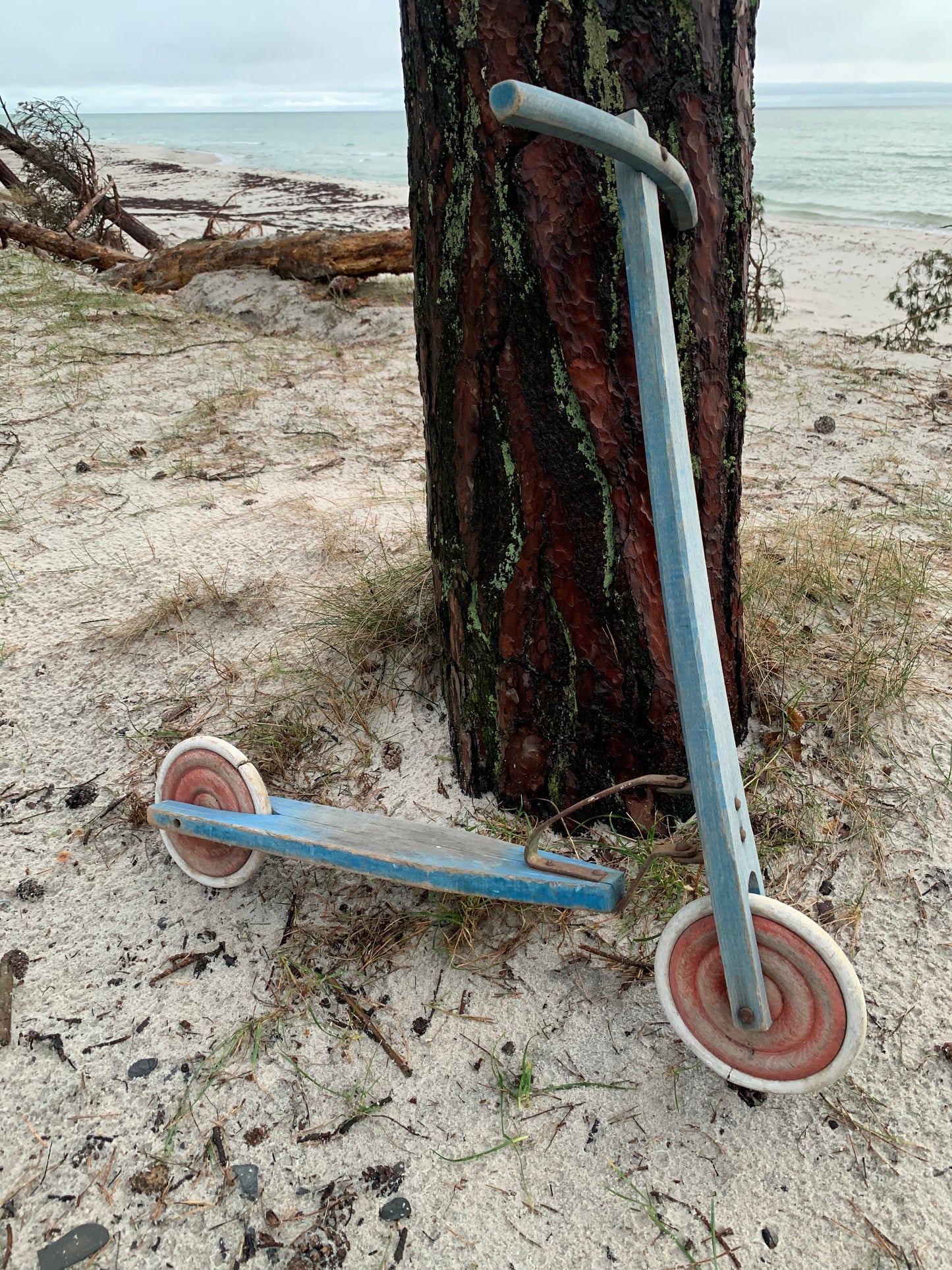 Dekorativ skoter