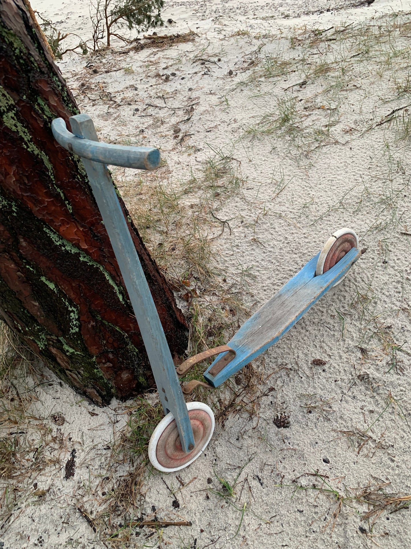 Dekorativ skoter