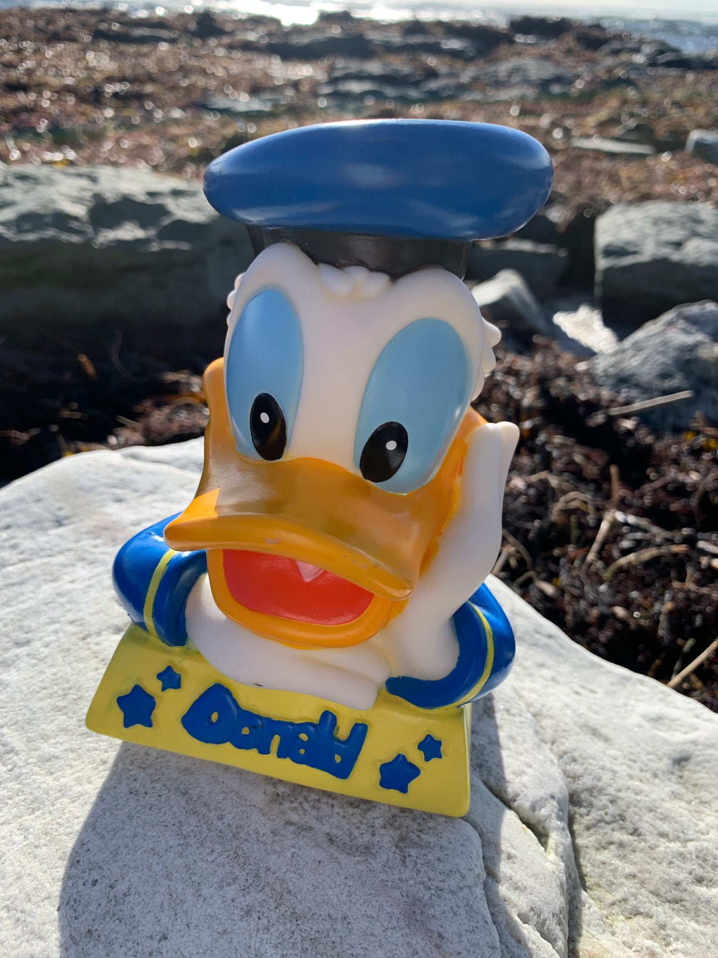 Anders Duck Sparlåda