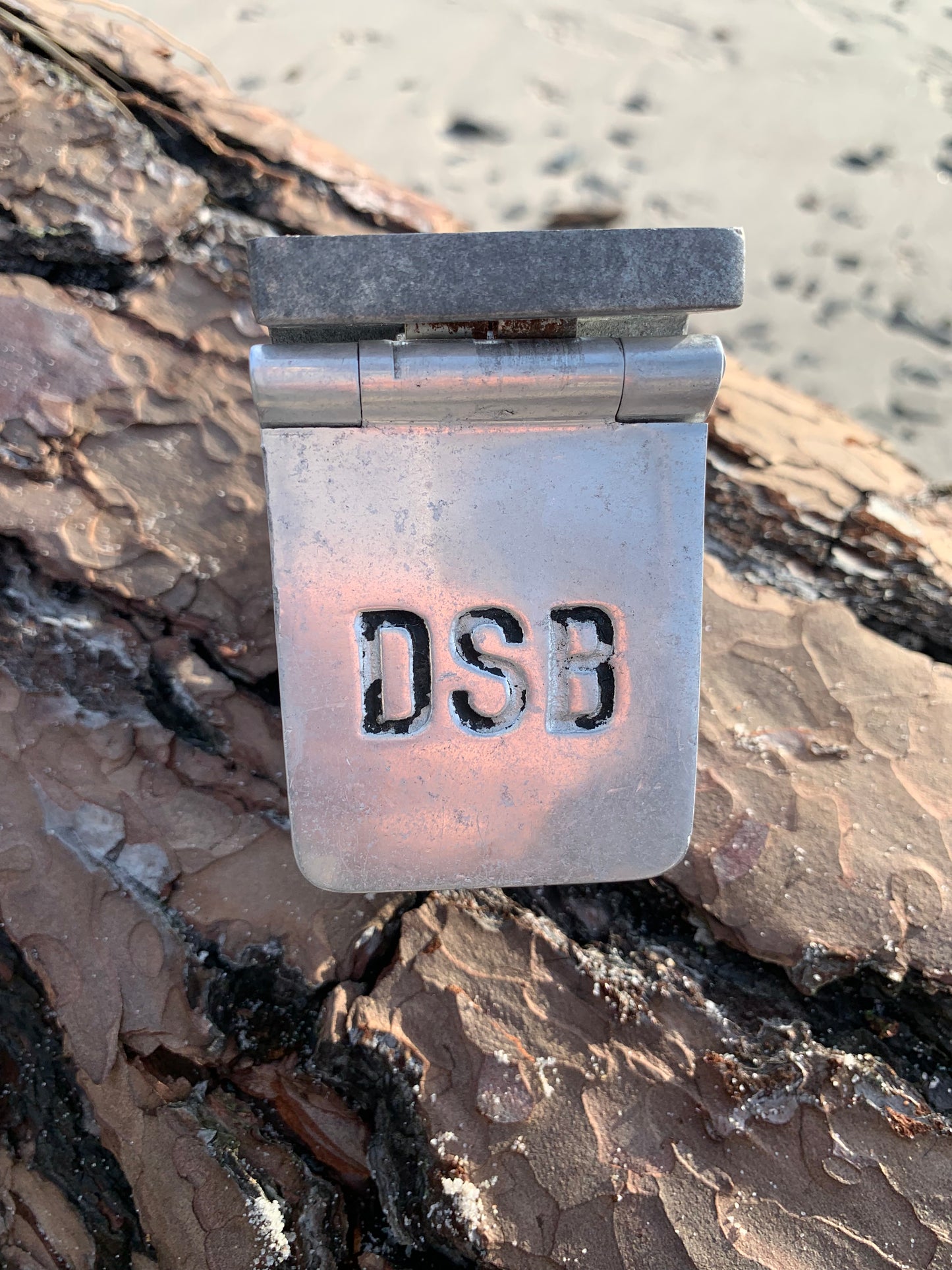 DSB askkopp