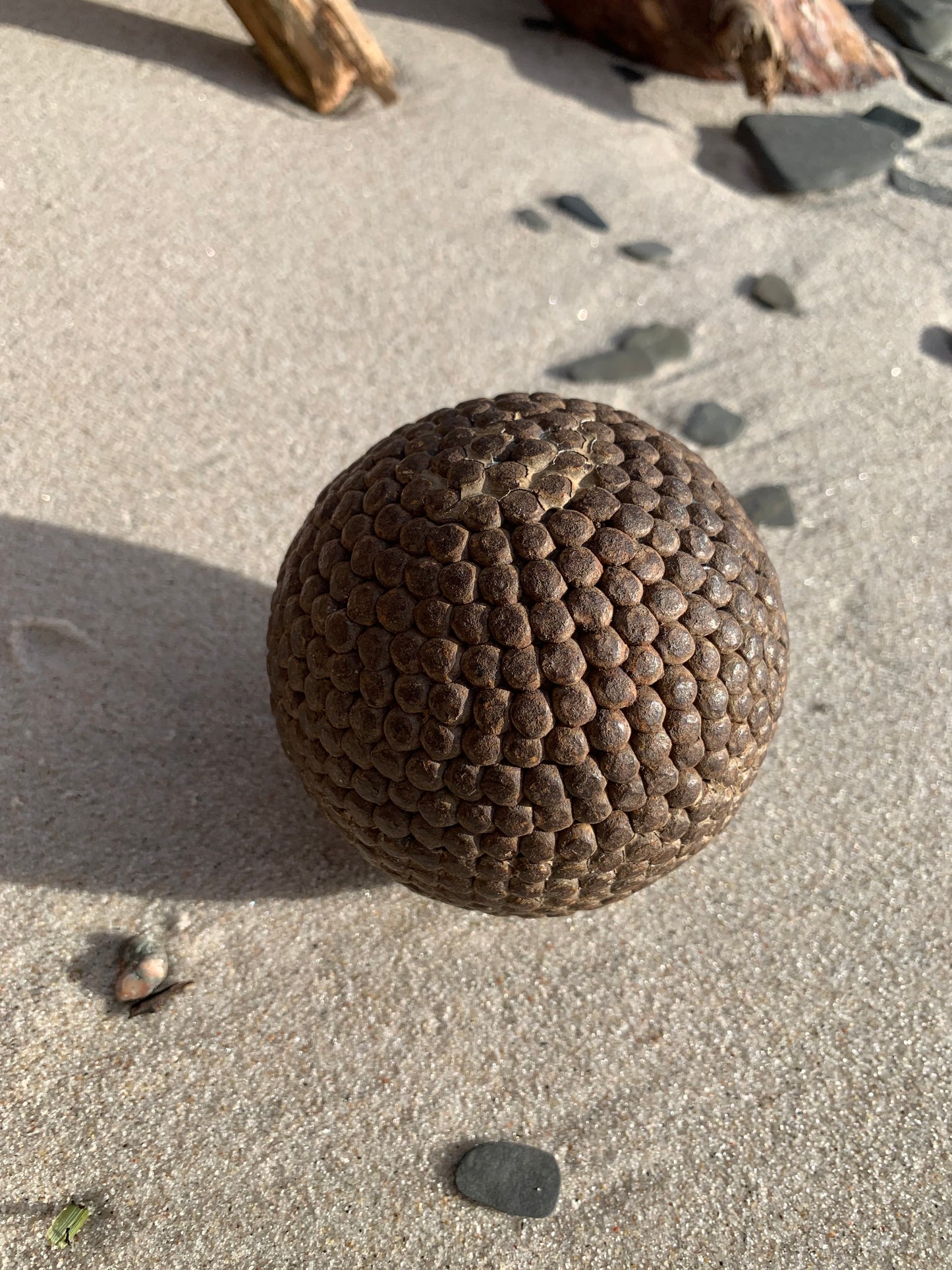 Fransk boll