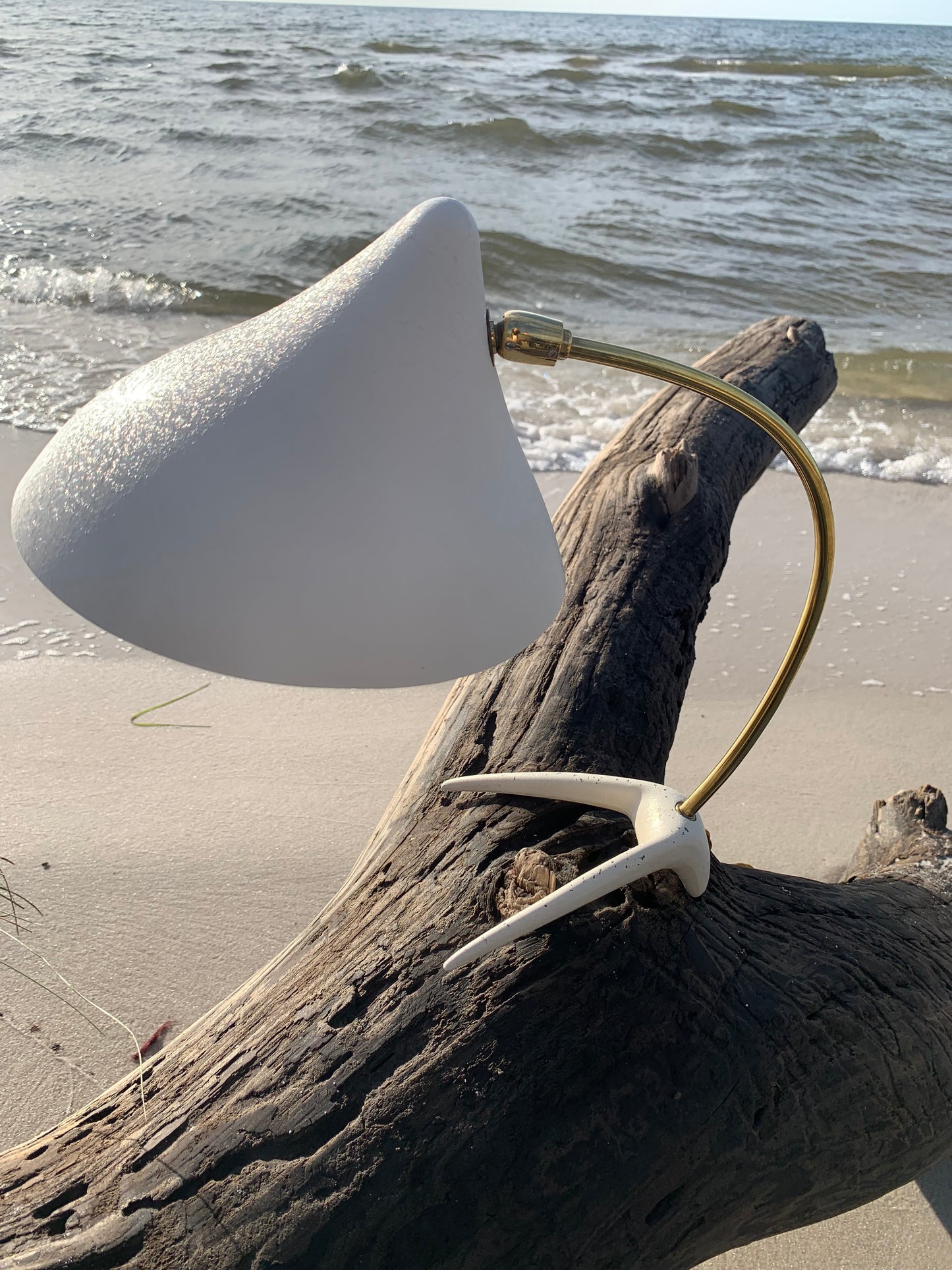 Kosackkråkfot