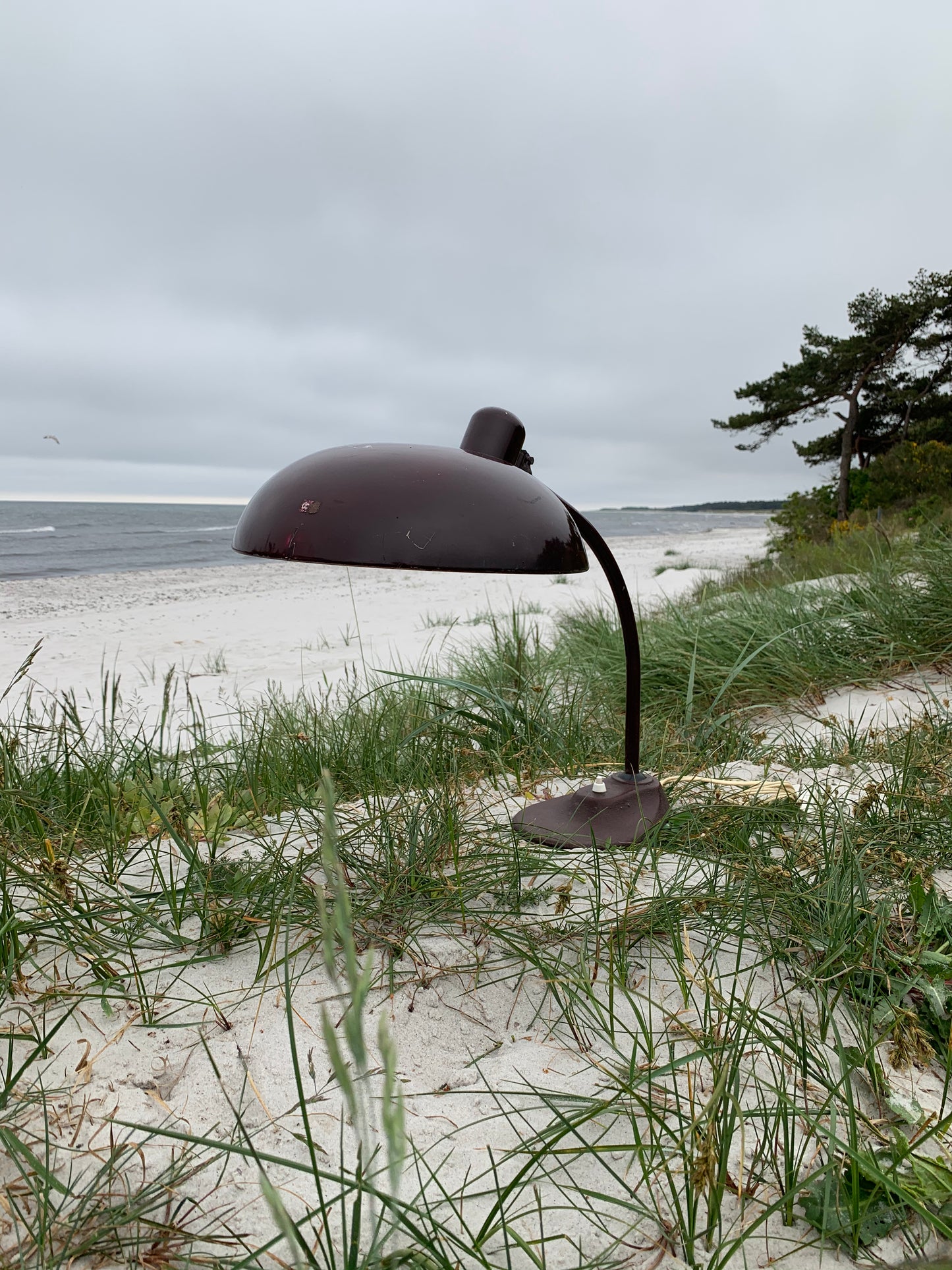 Marianne Brandt bordslampa - Brun