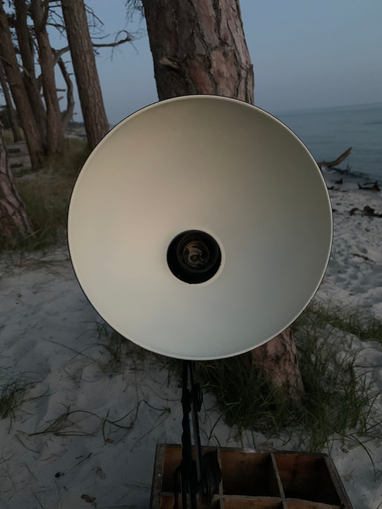 Kaiser Idell saxlampa 6718 - Svart