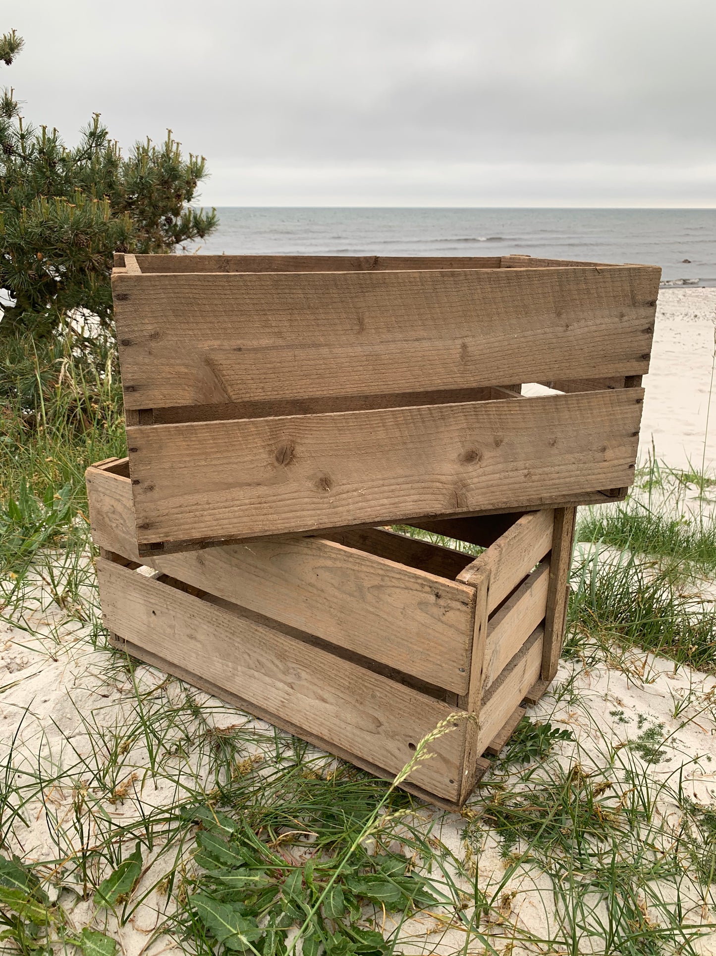 Fruktlåda