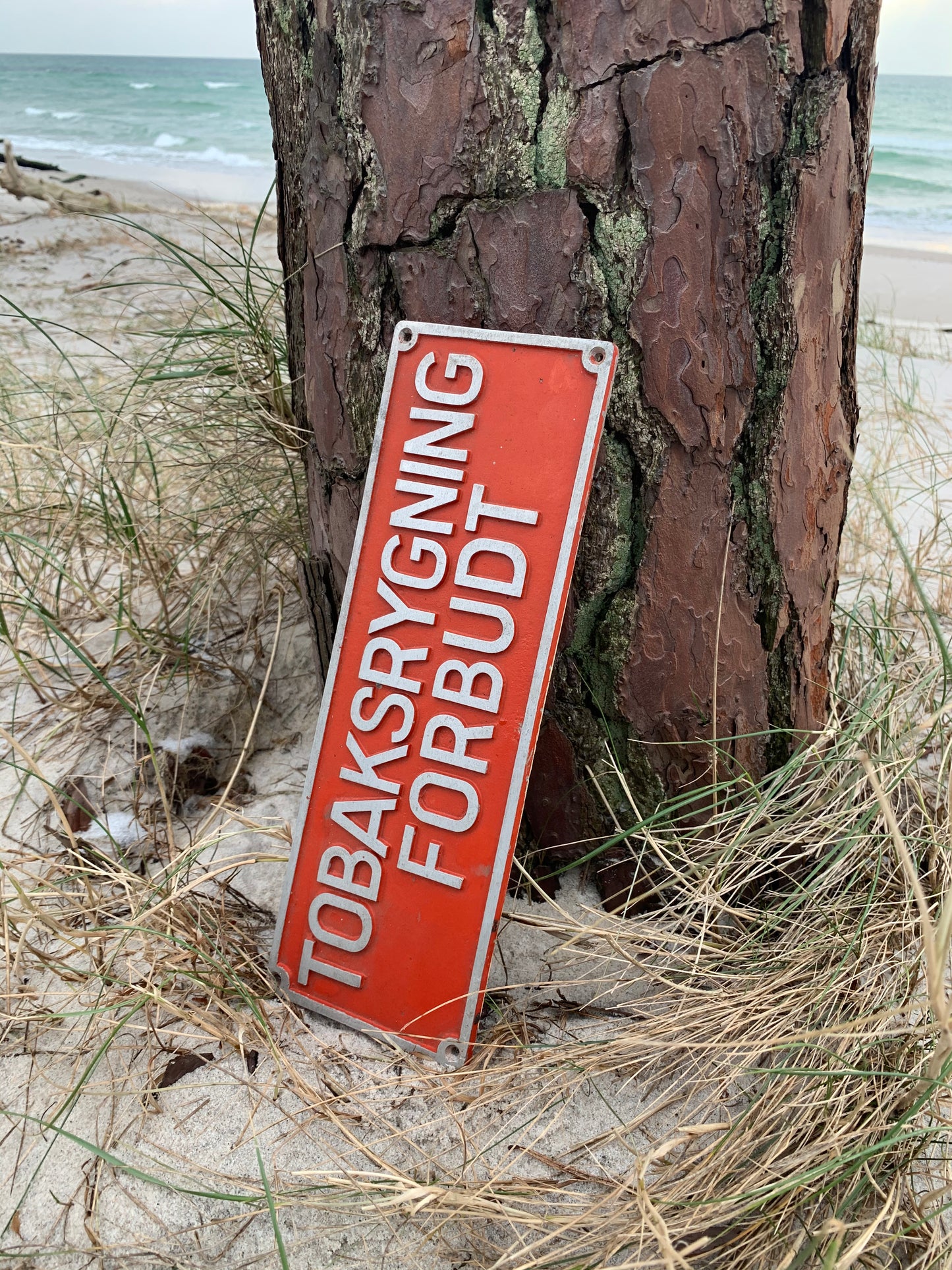 Skylt - Rökning förbjuden