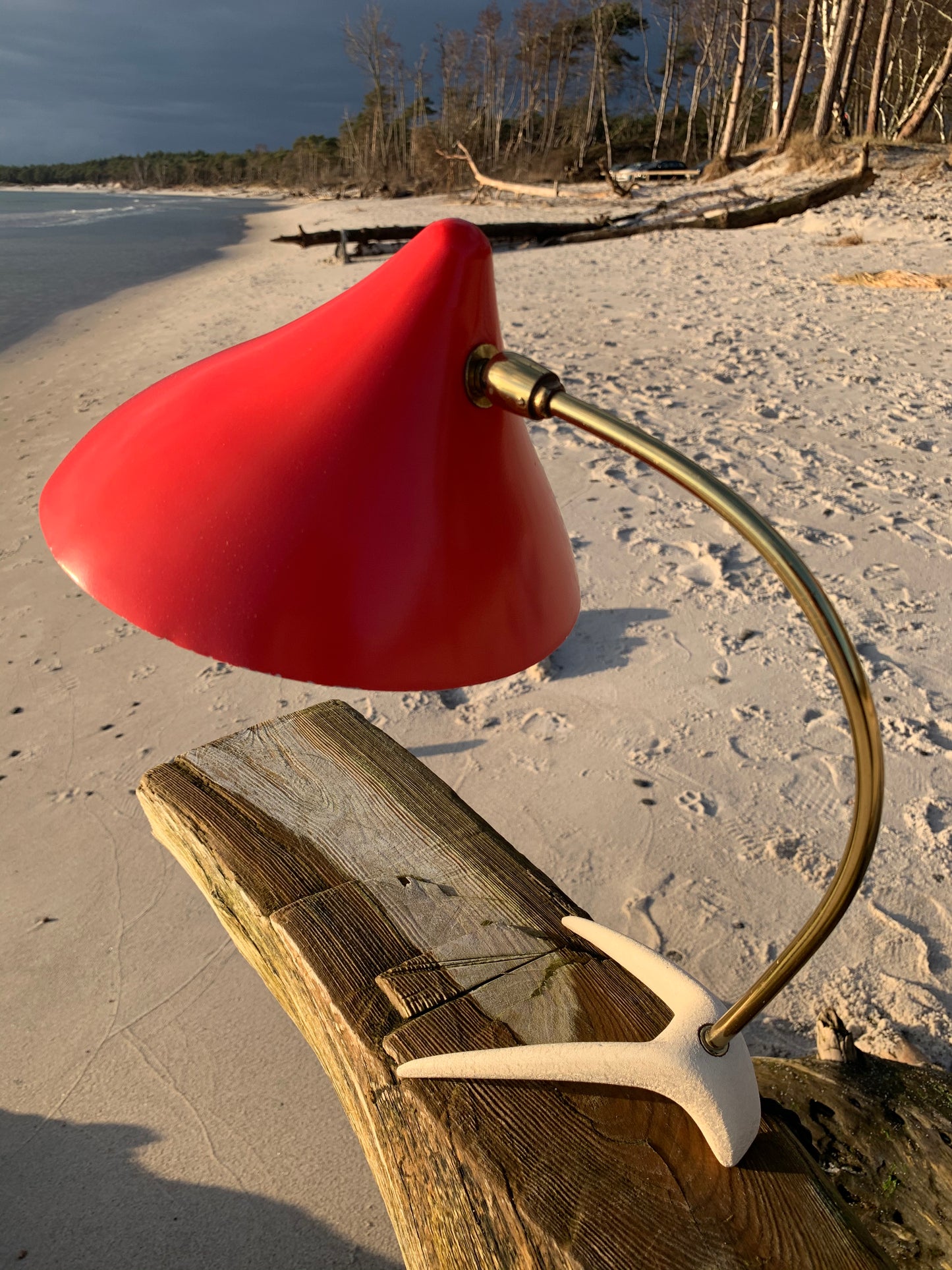 Kosackkråkfot