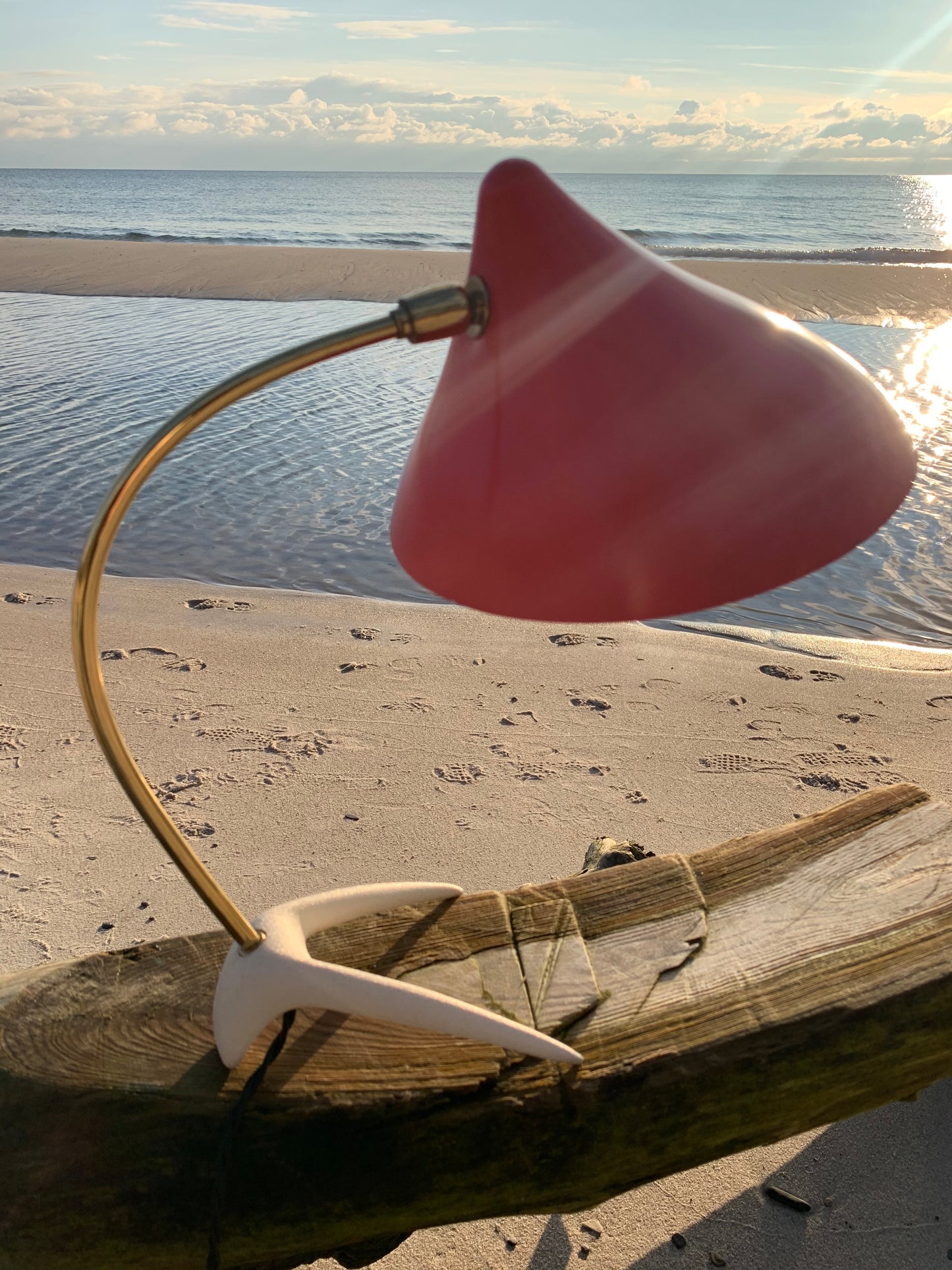 Kosackkråkfot