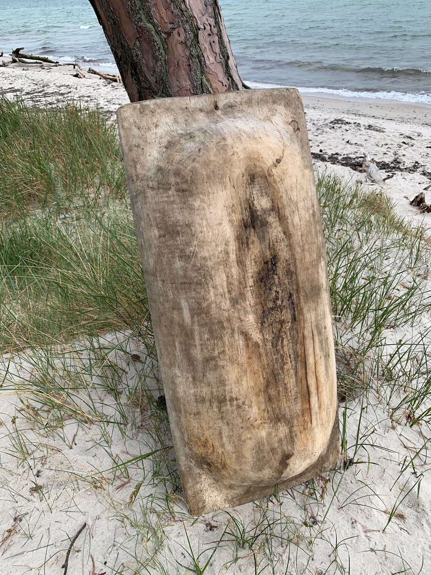 Stor sula eller sula med mycket patina