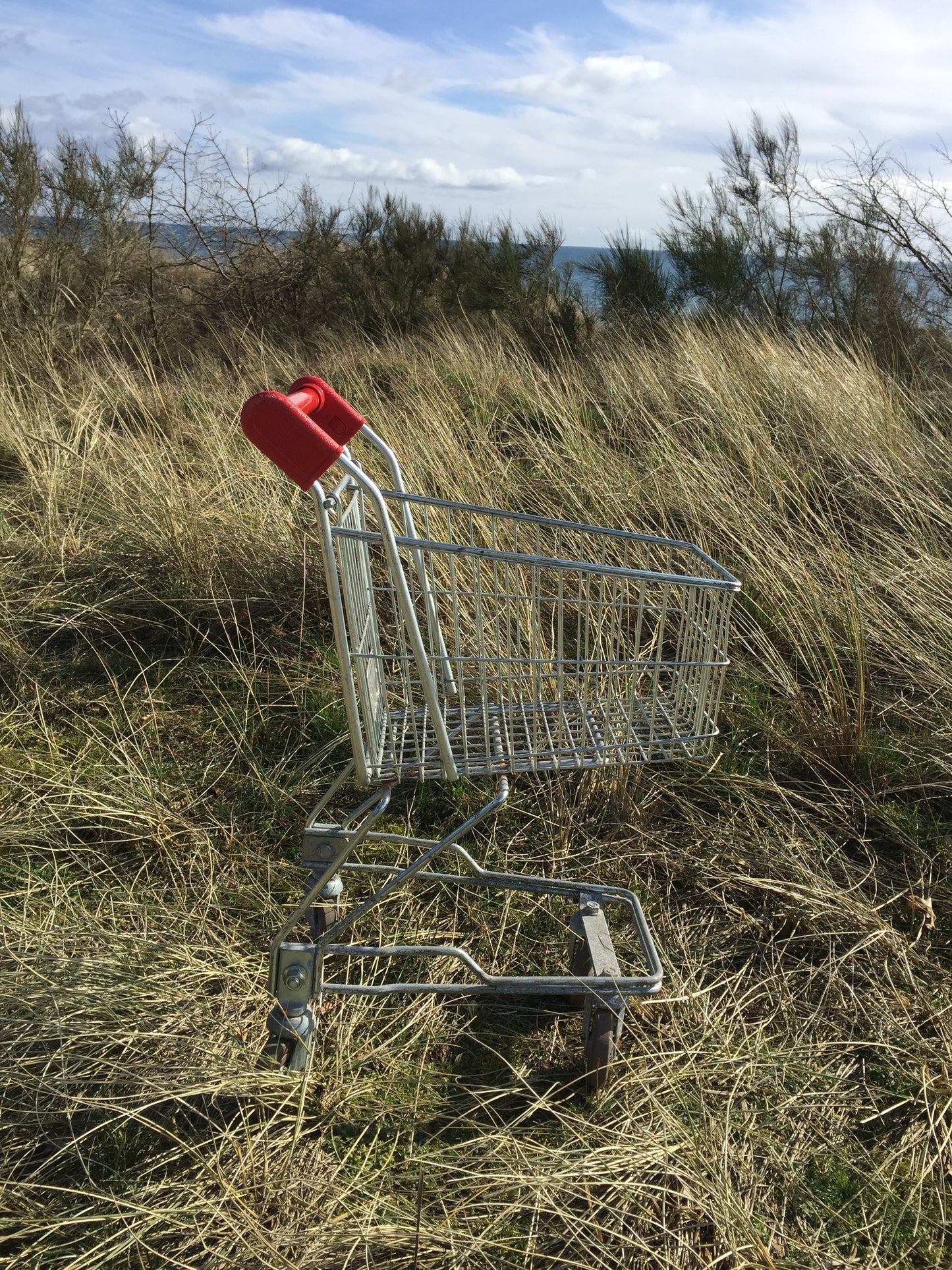 Fin shoppingvagn för barn