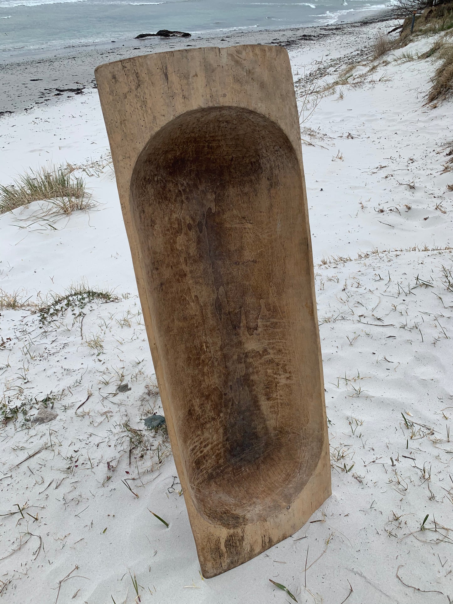 Stor vacker sula med patina