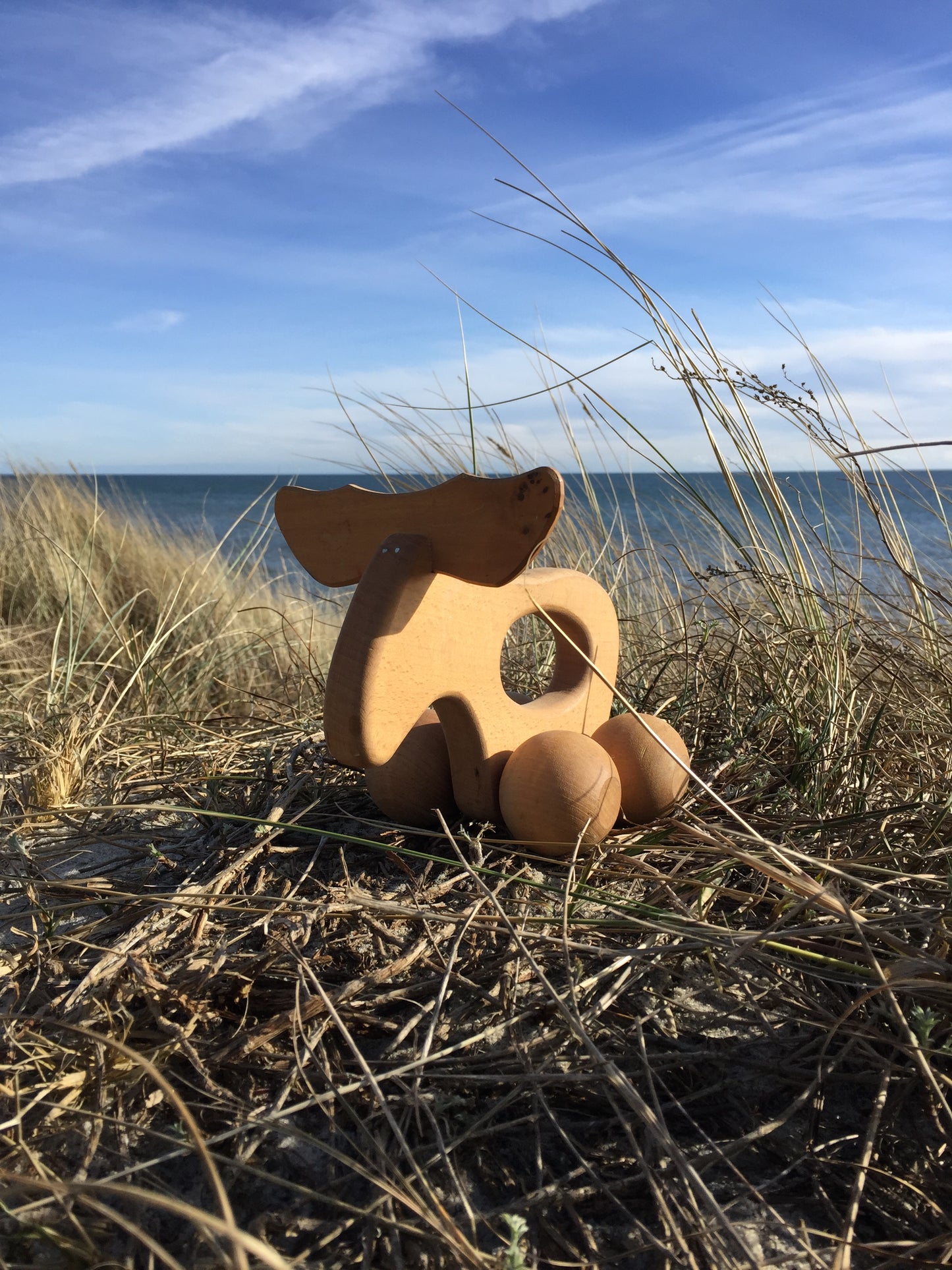 Vacker älg från Sverige
