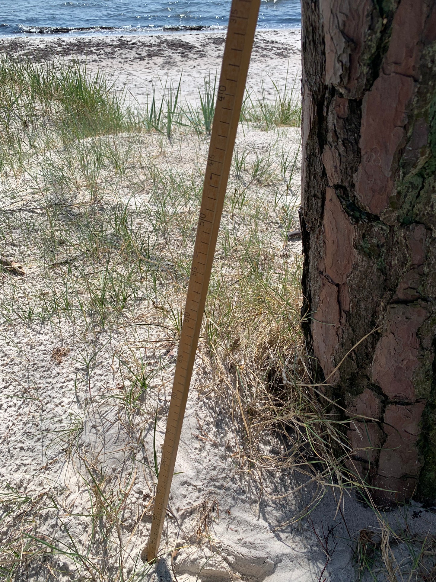 Dekorativ måttstav från 1950