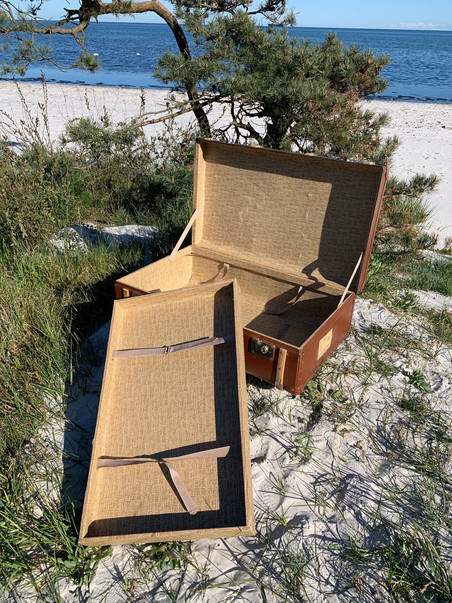 Stor vacker stam med trä och beslag