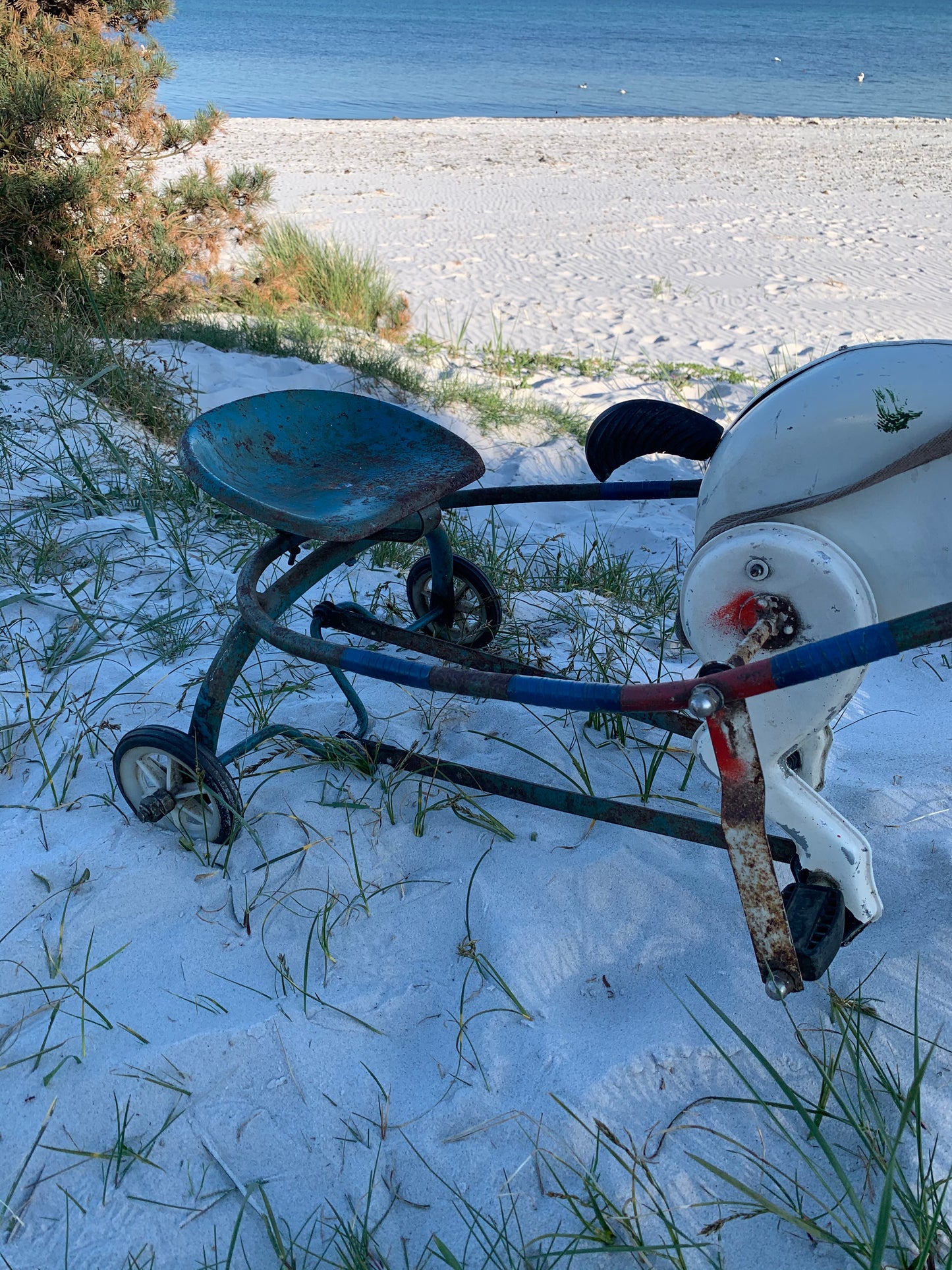 Häst med vagn