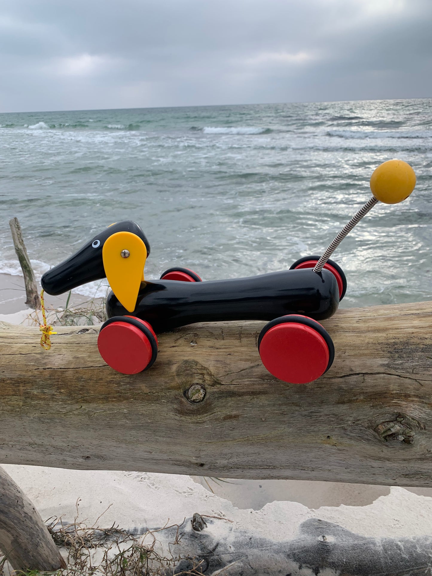 Brio hund - Stor version