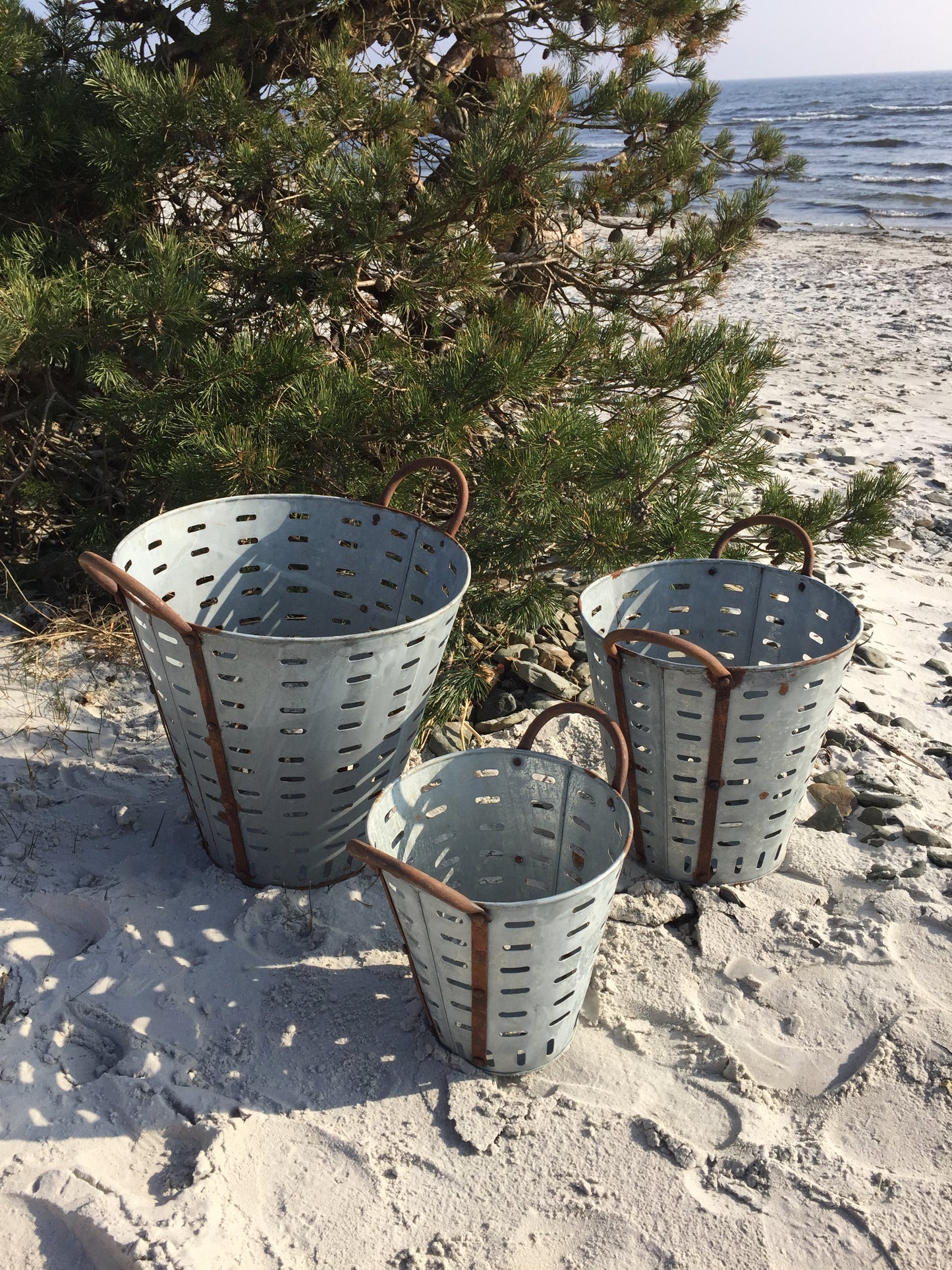 Olivhink med läcker patina (Priset är per styck för den största hinken)