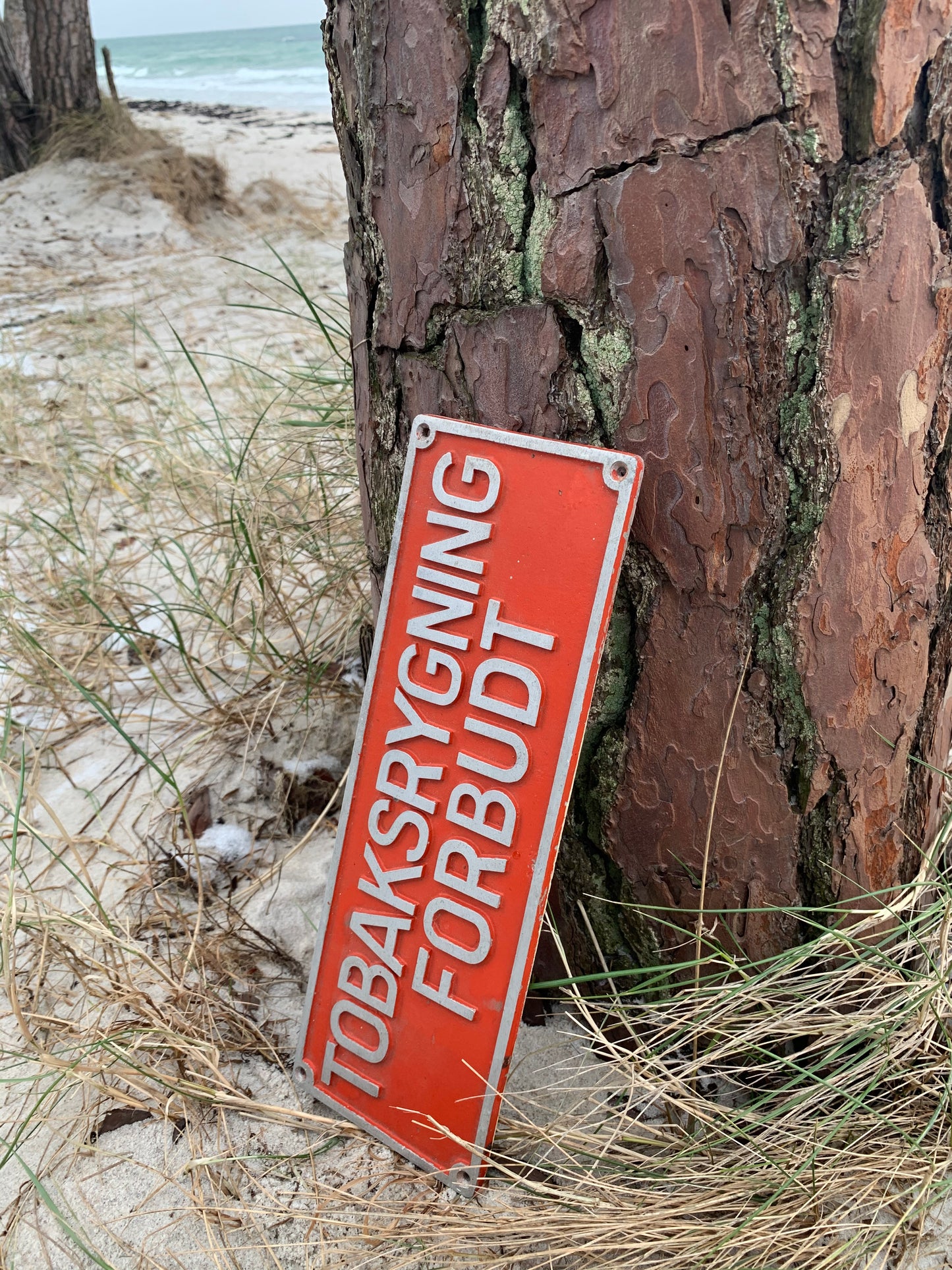 Skylt - Rökning förbjuden