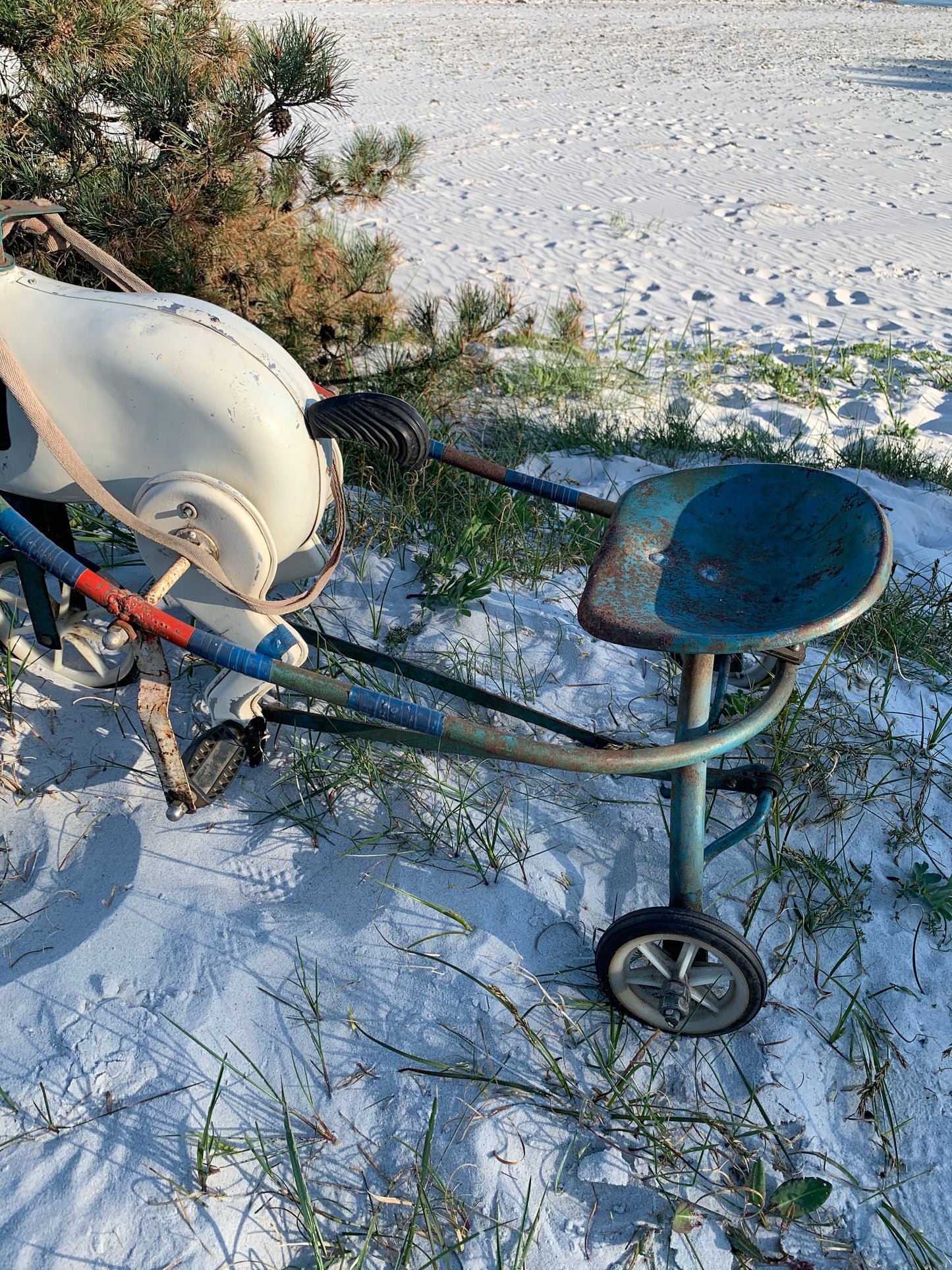 Häst med vagn
