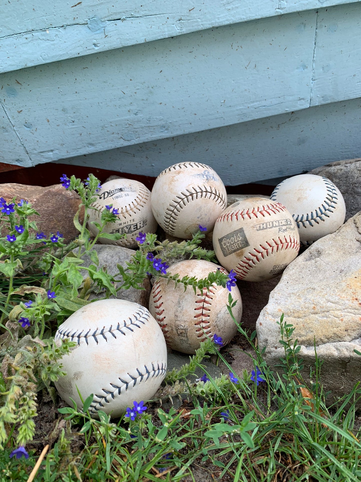Baseboll