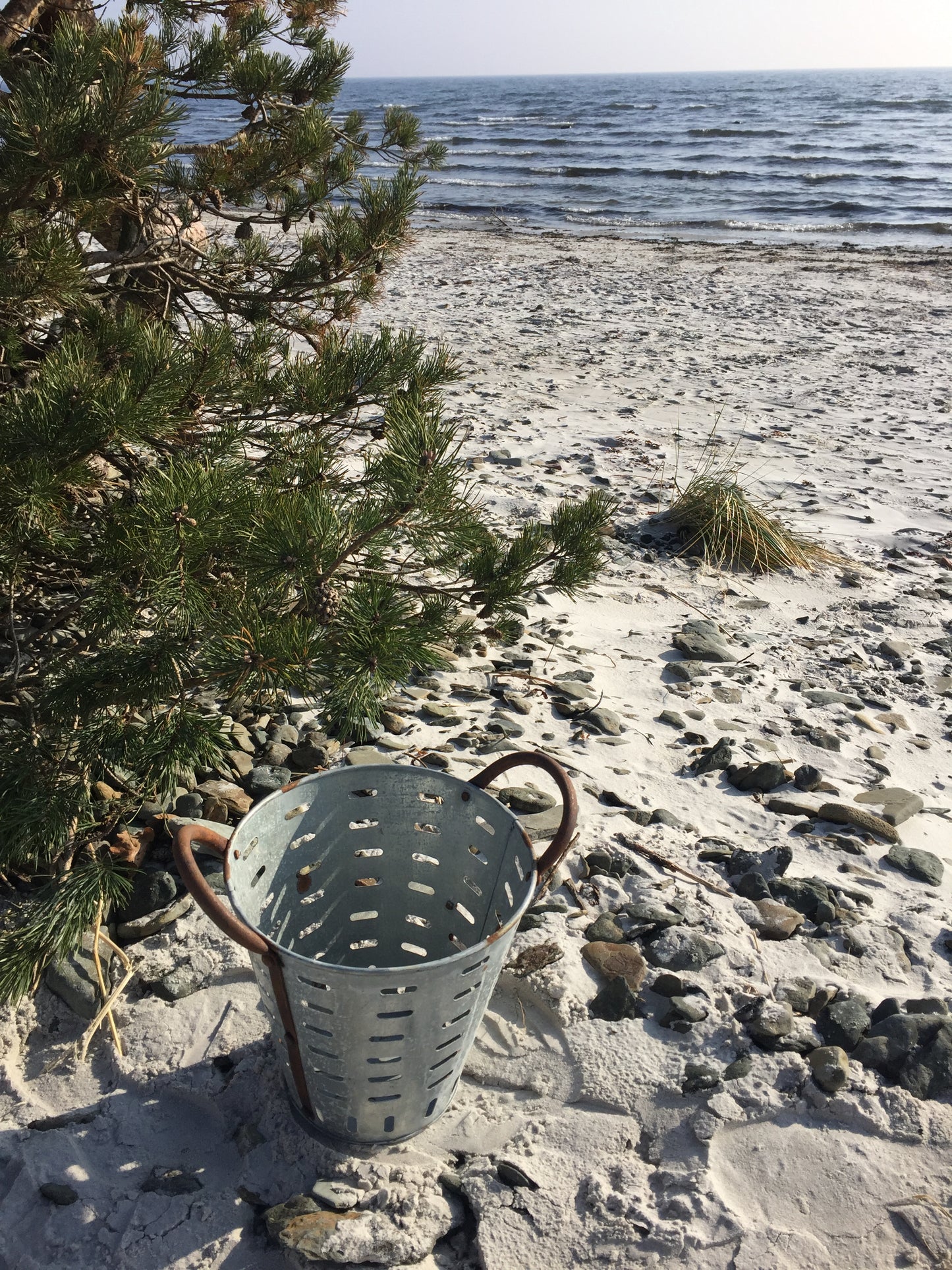 Olivhink med fin patina (Priset är per styck för den minsta hinken)