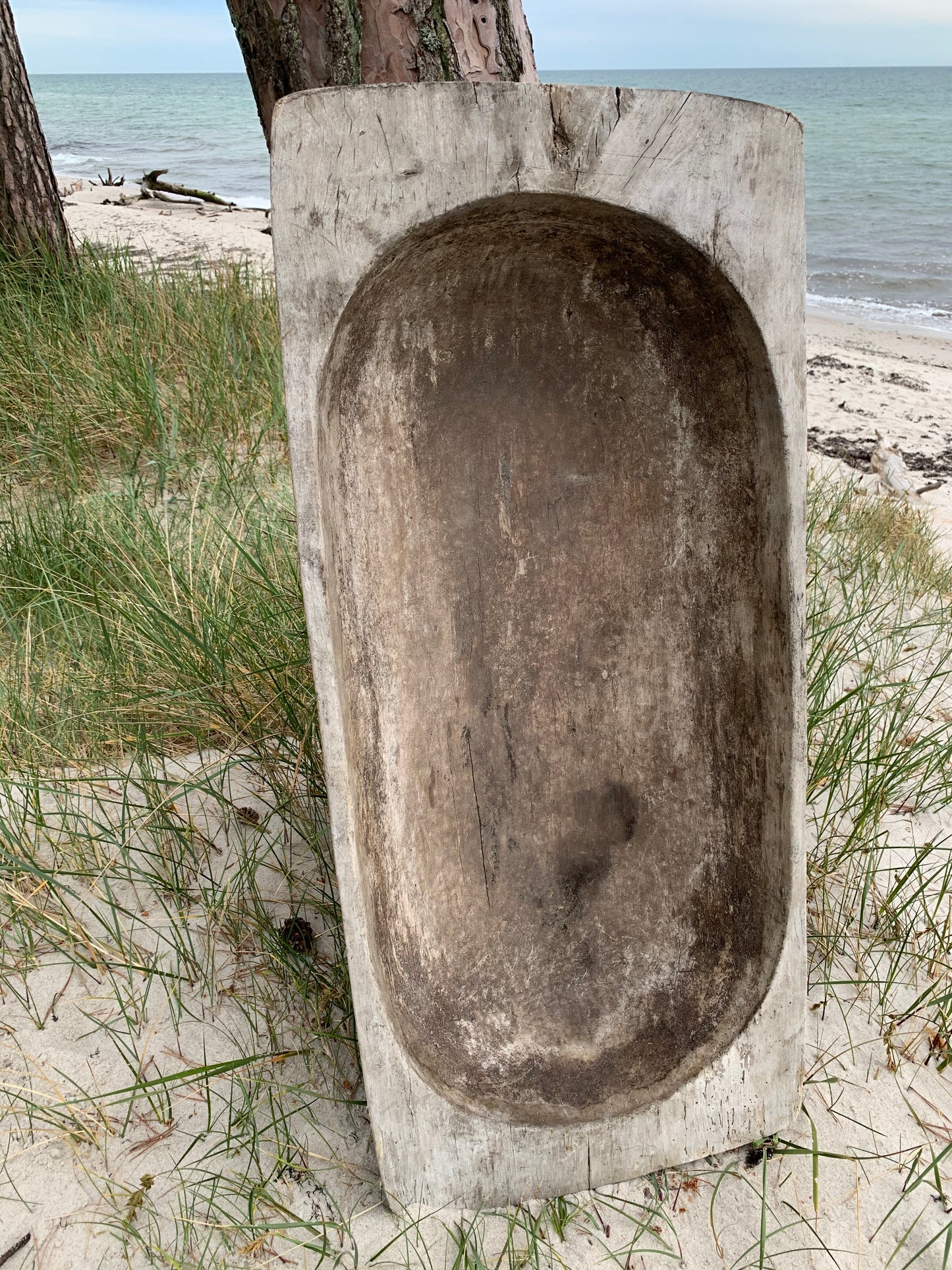 Stor sula eller sula med mycket patina