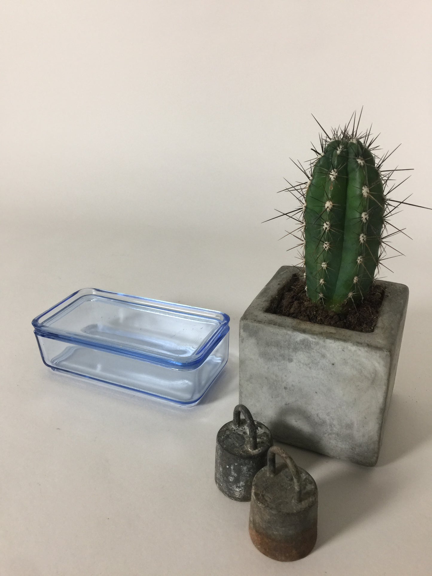Fint och gammalt förvaringsglas med lock