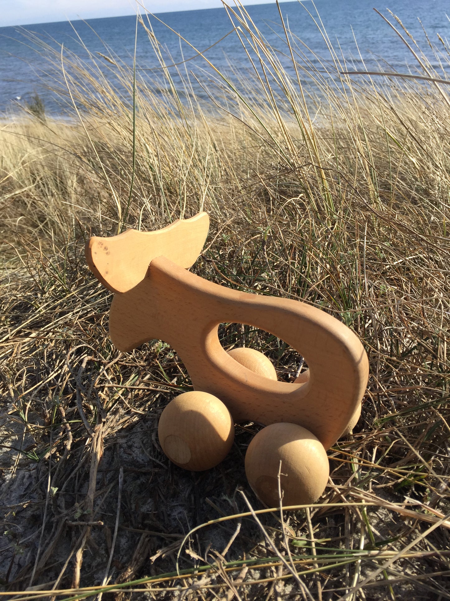 Vacker älg från Sverige