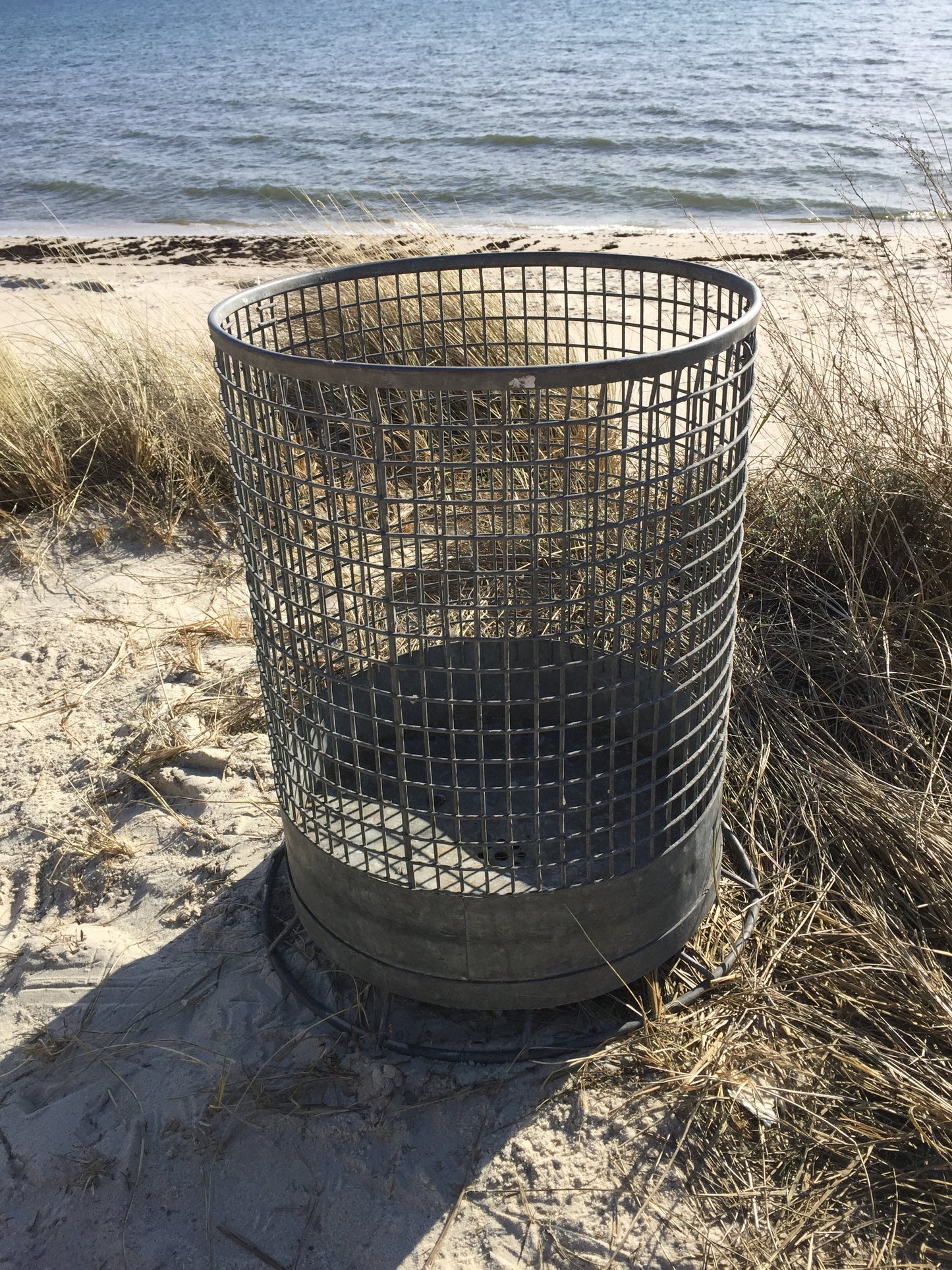 Stor skönhet rå och rund
