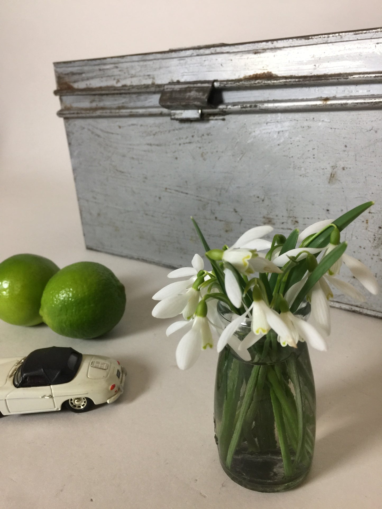 Vacker metalllåda med lock