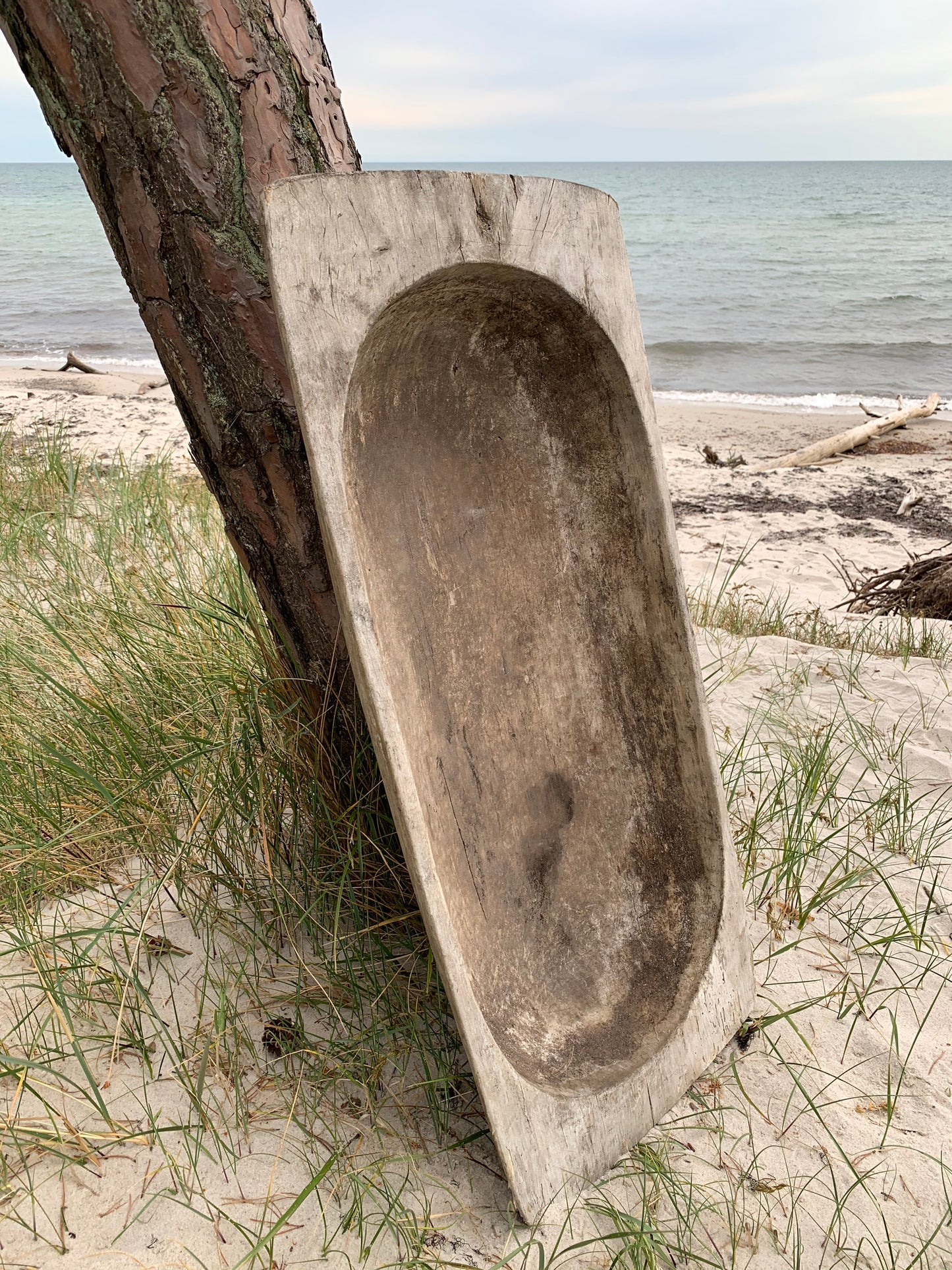 Stor sula eller sula med mycket patina