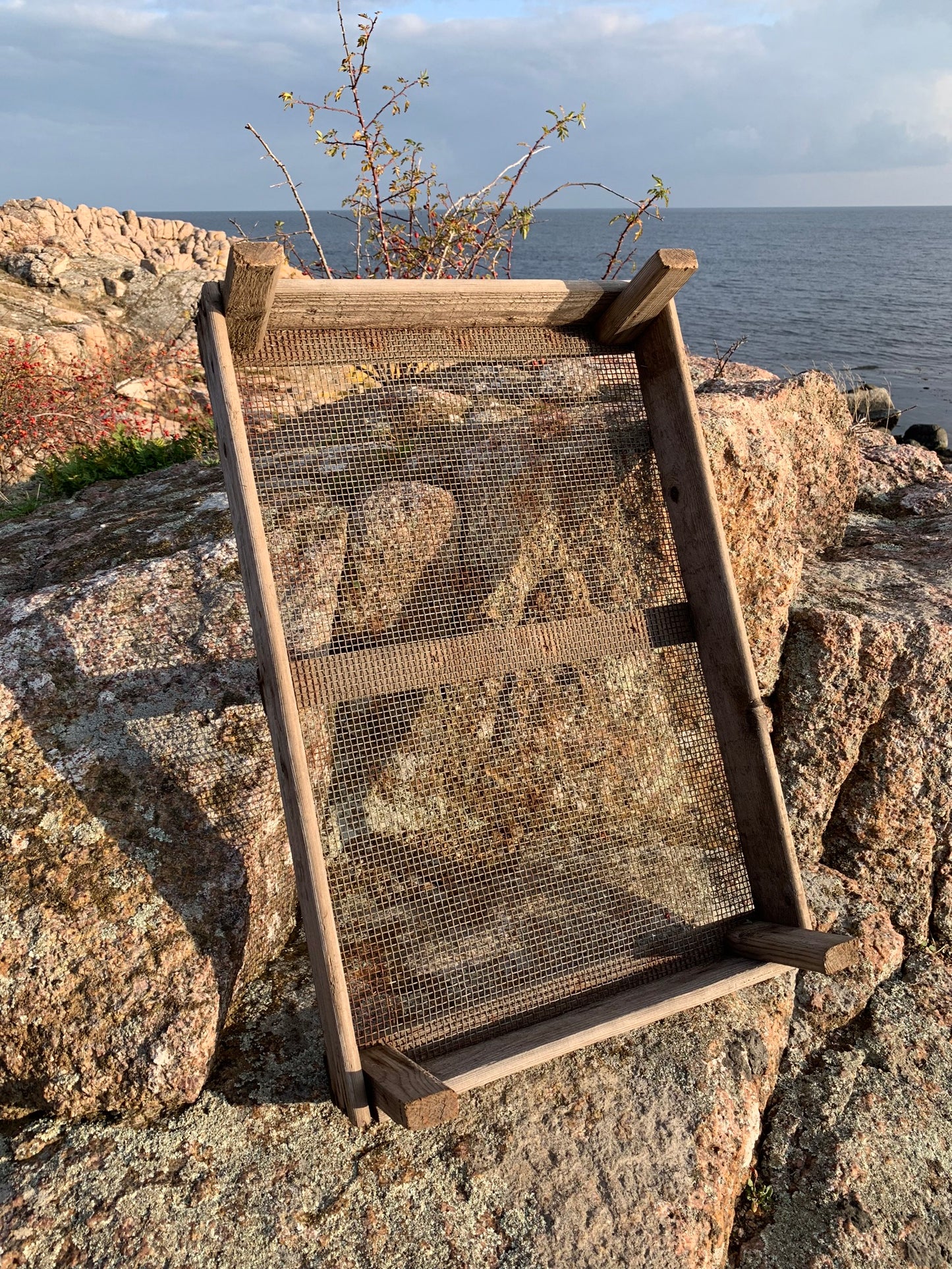 Löklåda med vacker patina
