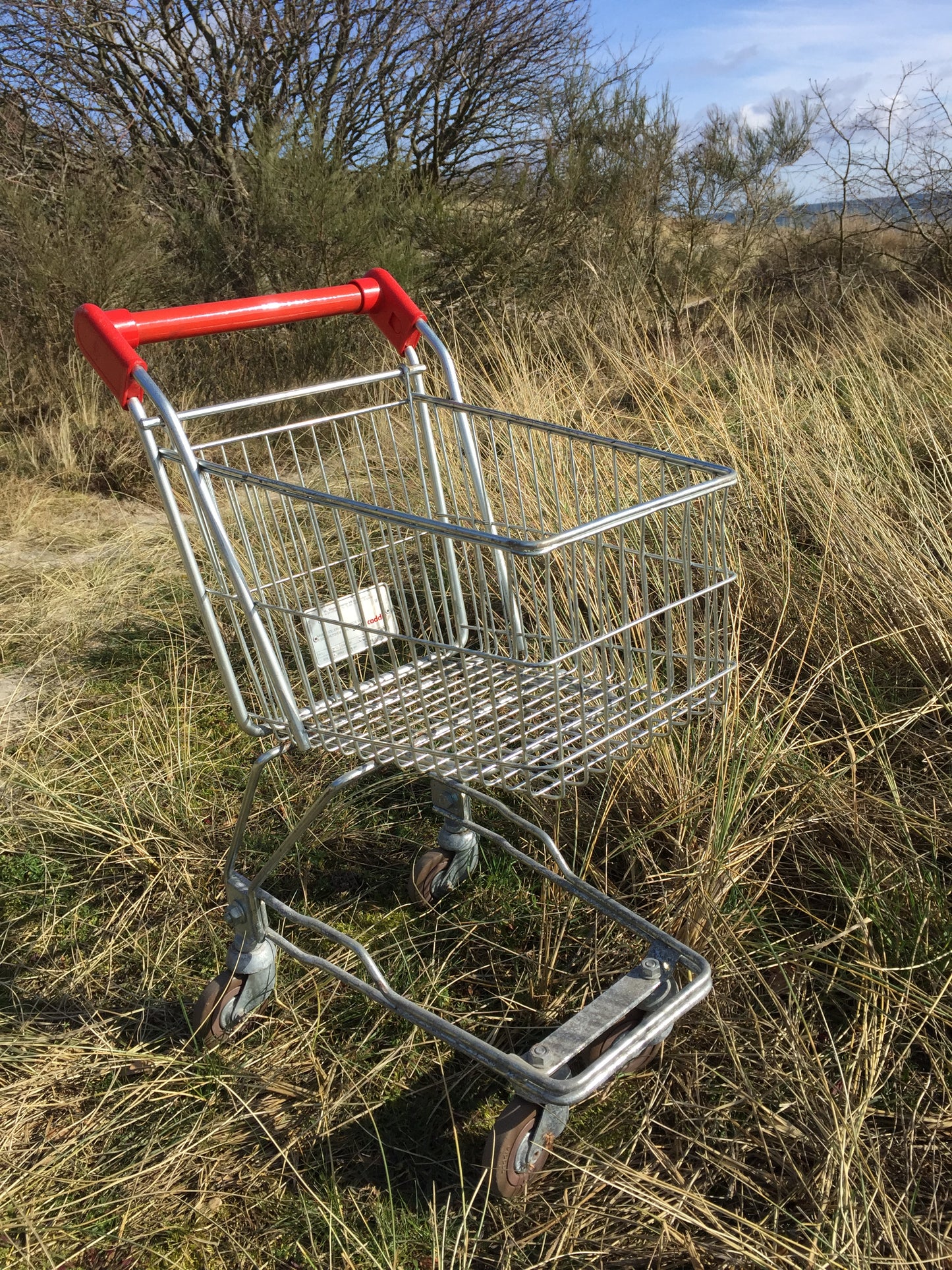 Fin shoppingvagn för barn