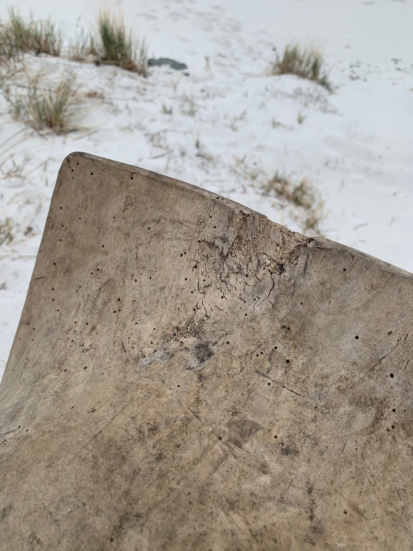 Stor vacker sula med patina