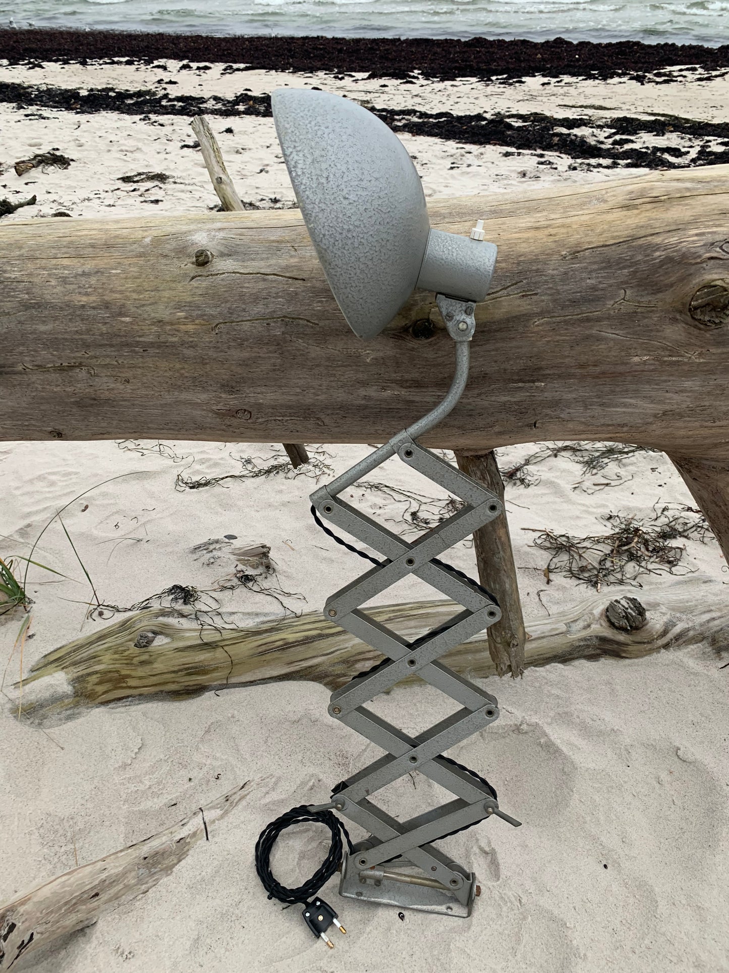 Saxlampa - Grå hammarlack