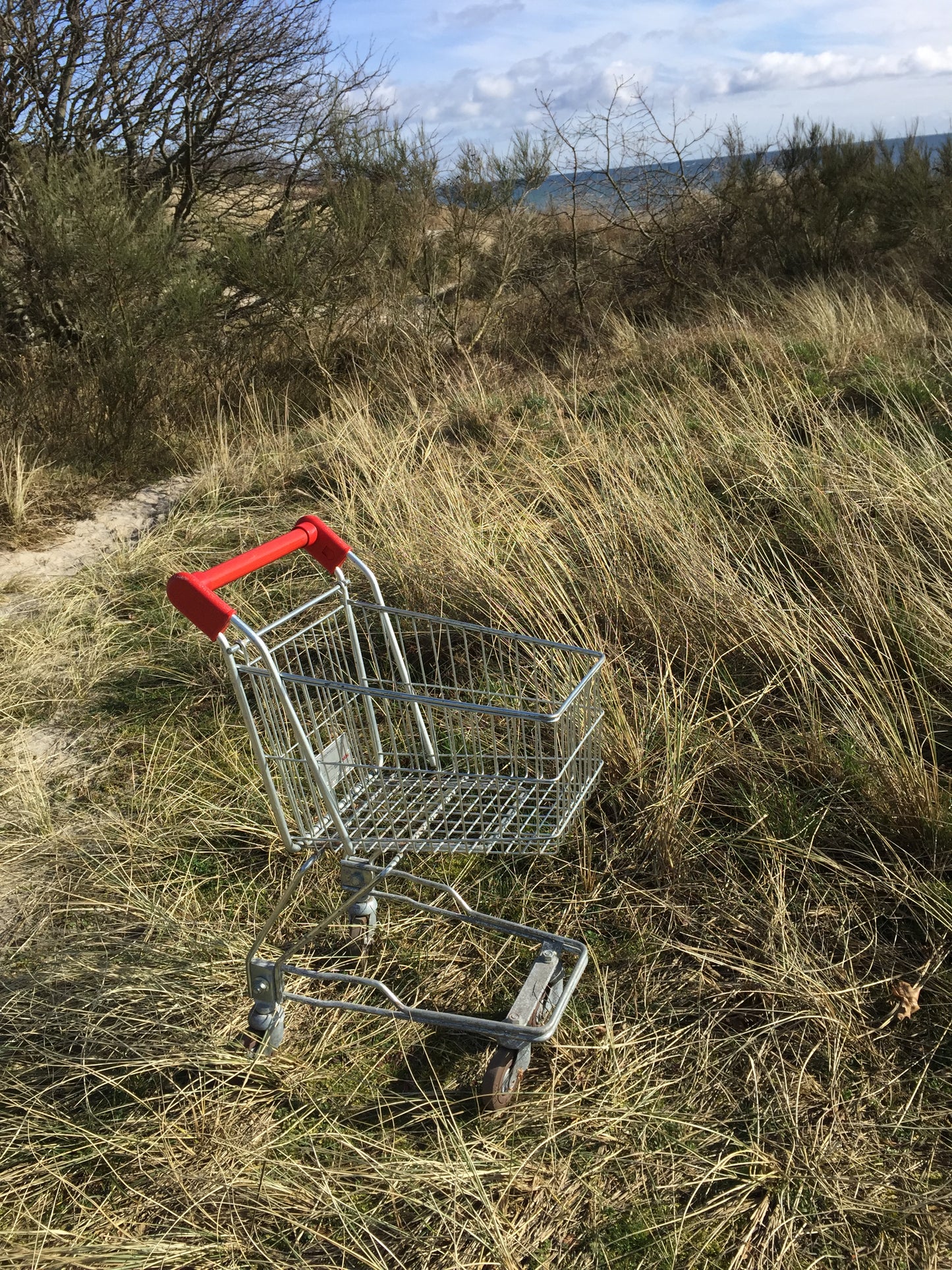 Fin shoppingvagn för barn