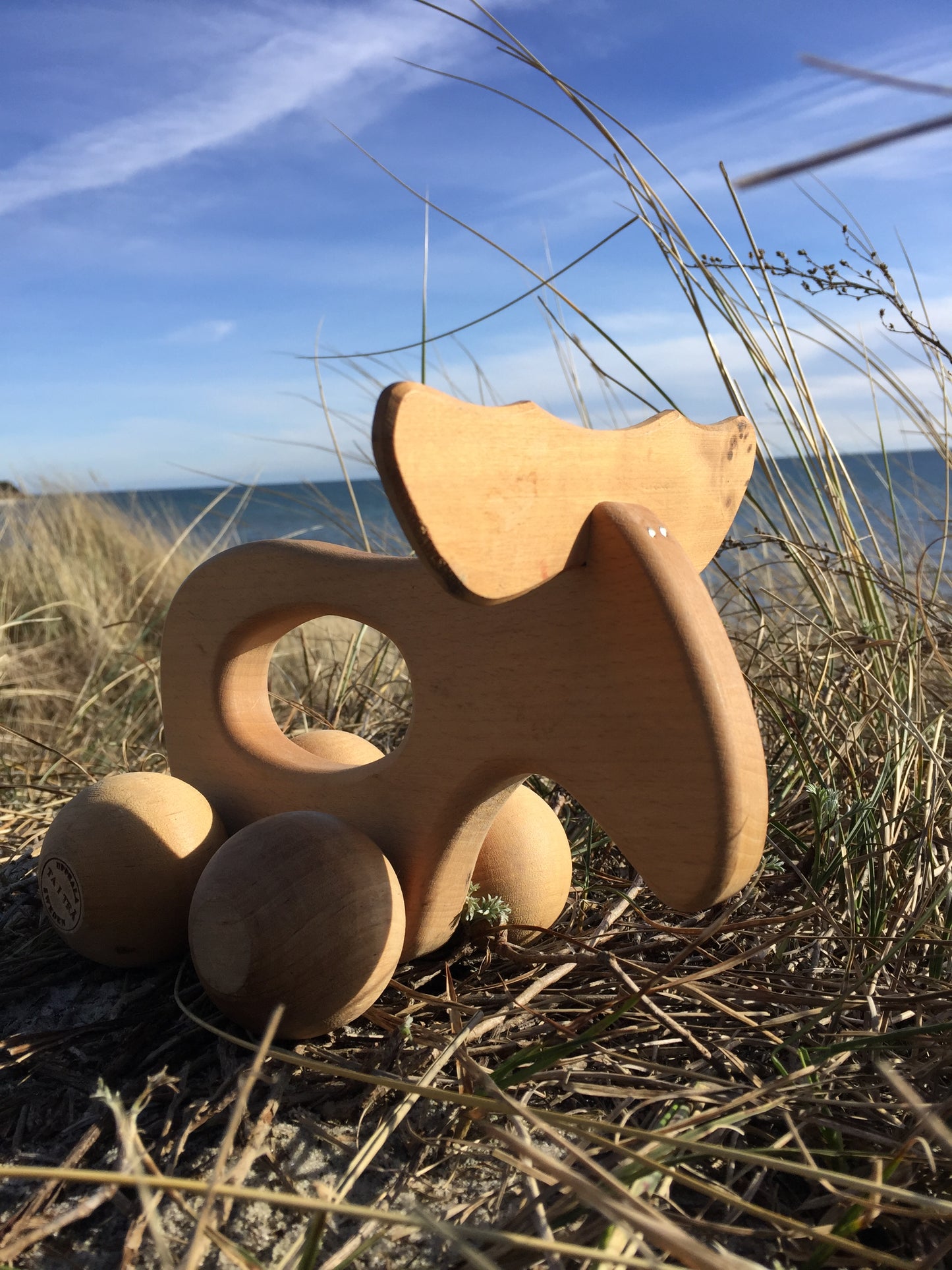 Vacker älg från Sverige