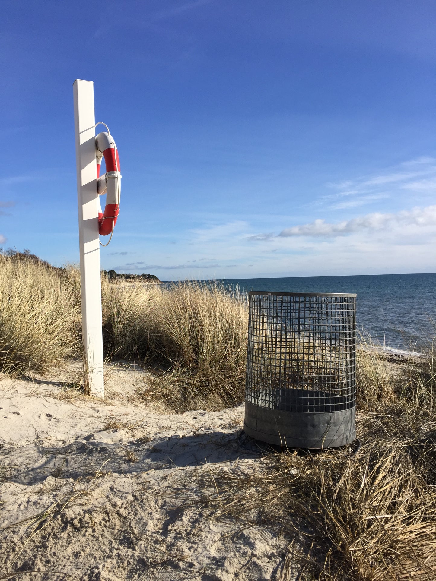 Stor skönhet rå och rund