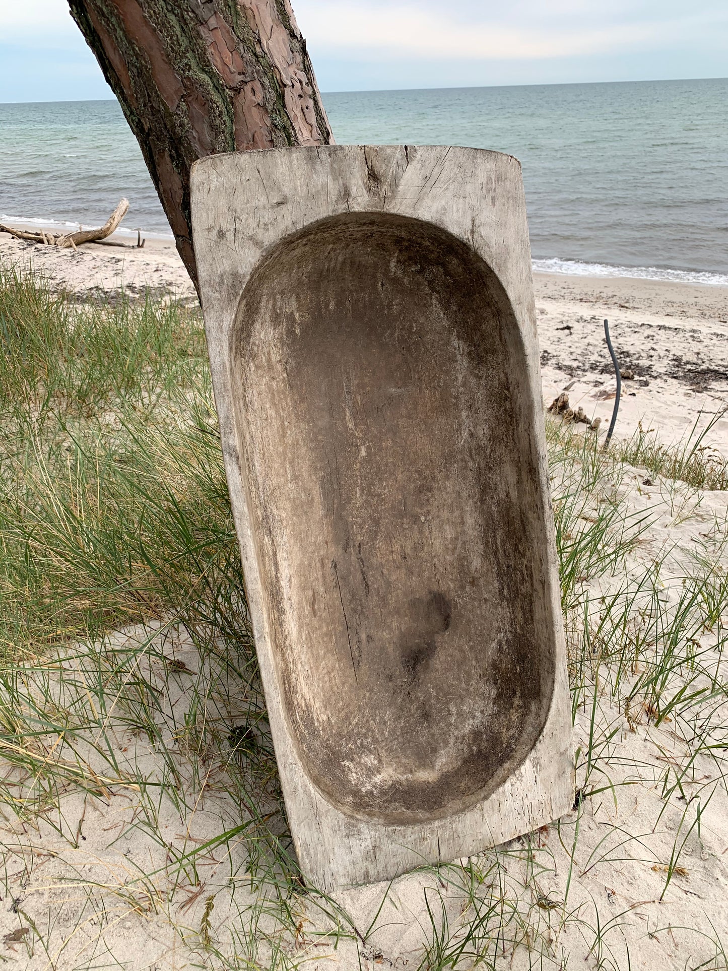 Stor sula eller sula med mycket patina