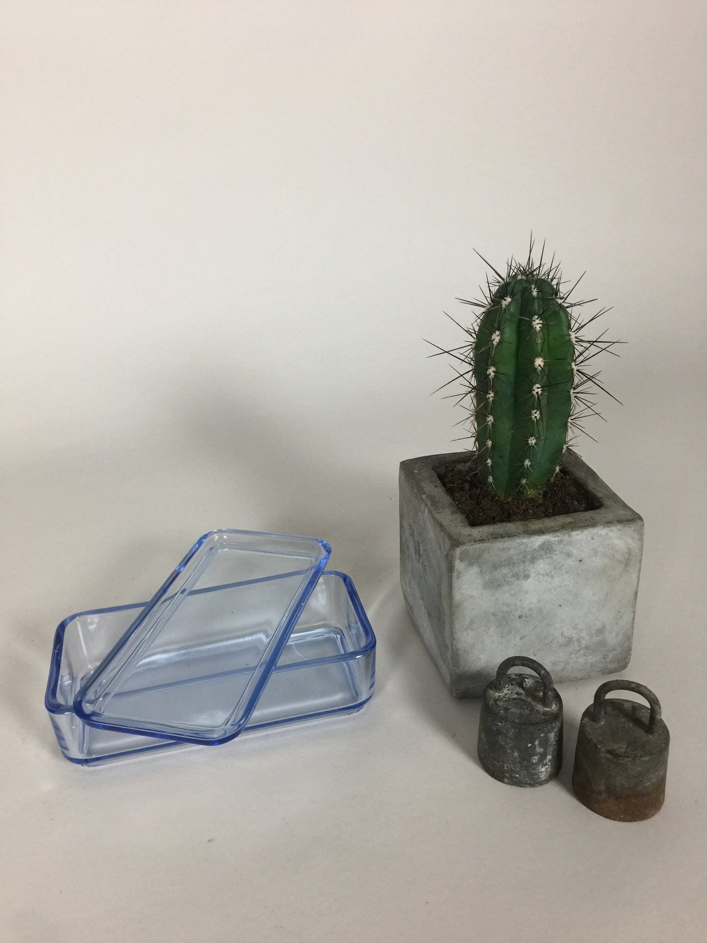 Fint och gammalt förvaringsglas med lock