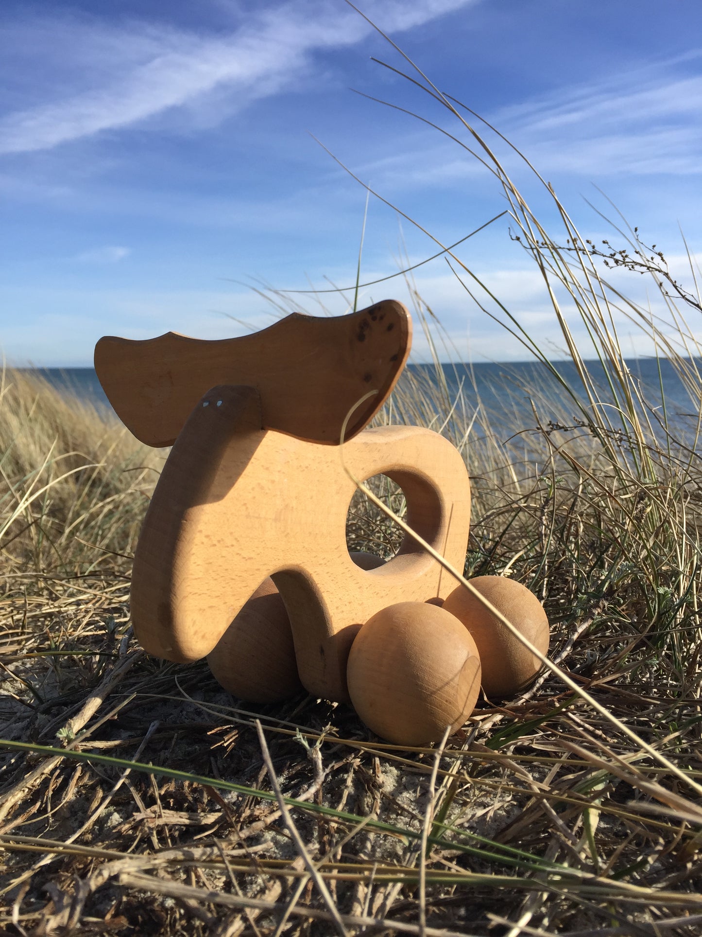 Vacker älg från Sverige
