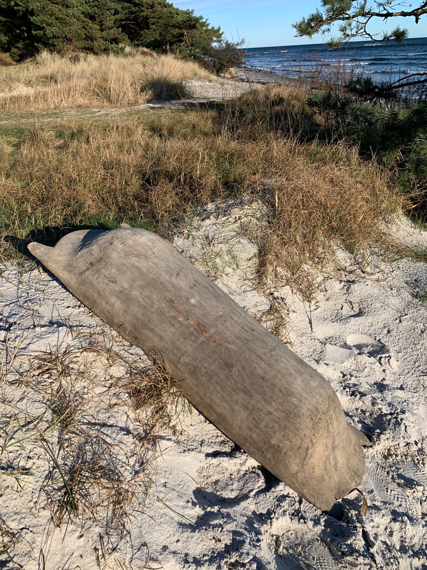Mycket stor sulplatta