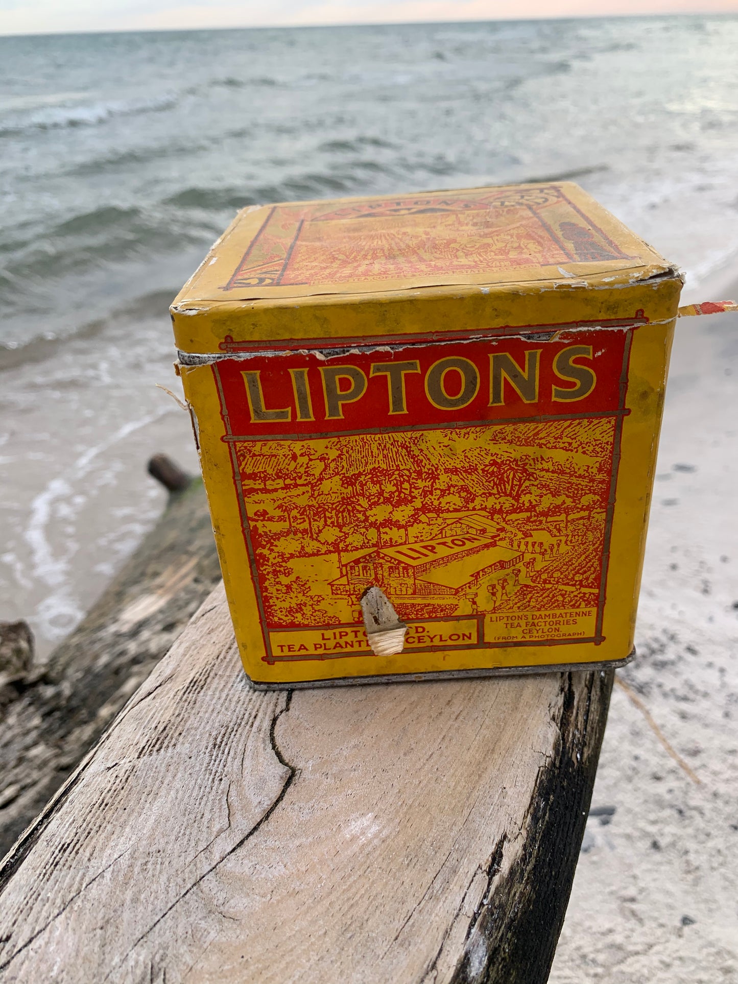 Lipton teburk