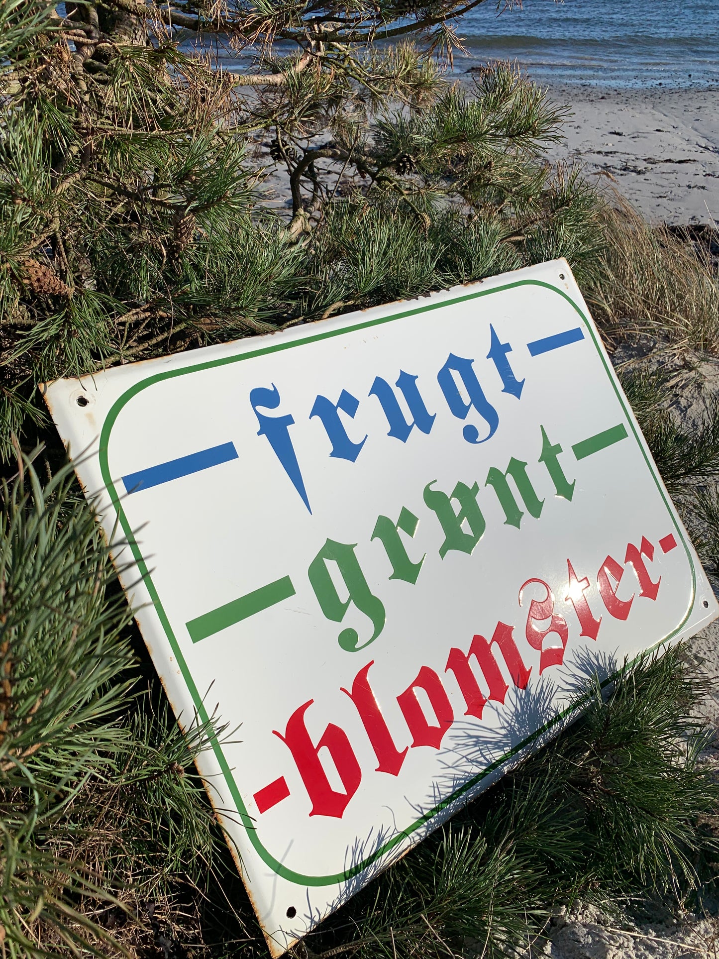 Stor emaljskylt - frukt, grönsaker och blommor