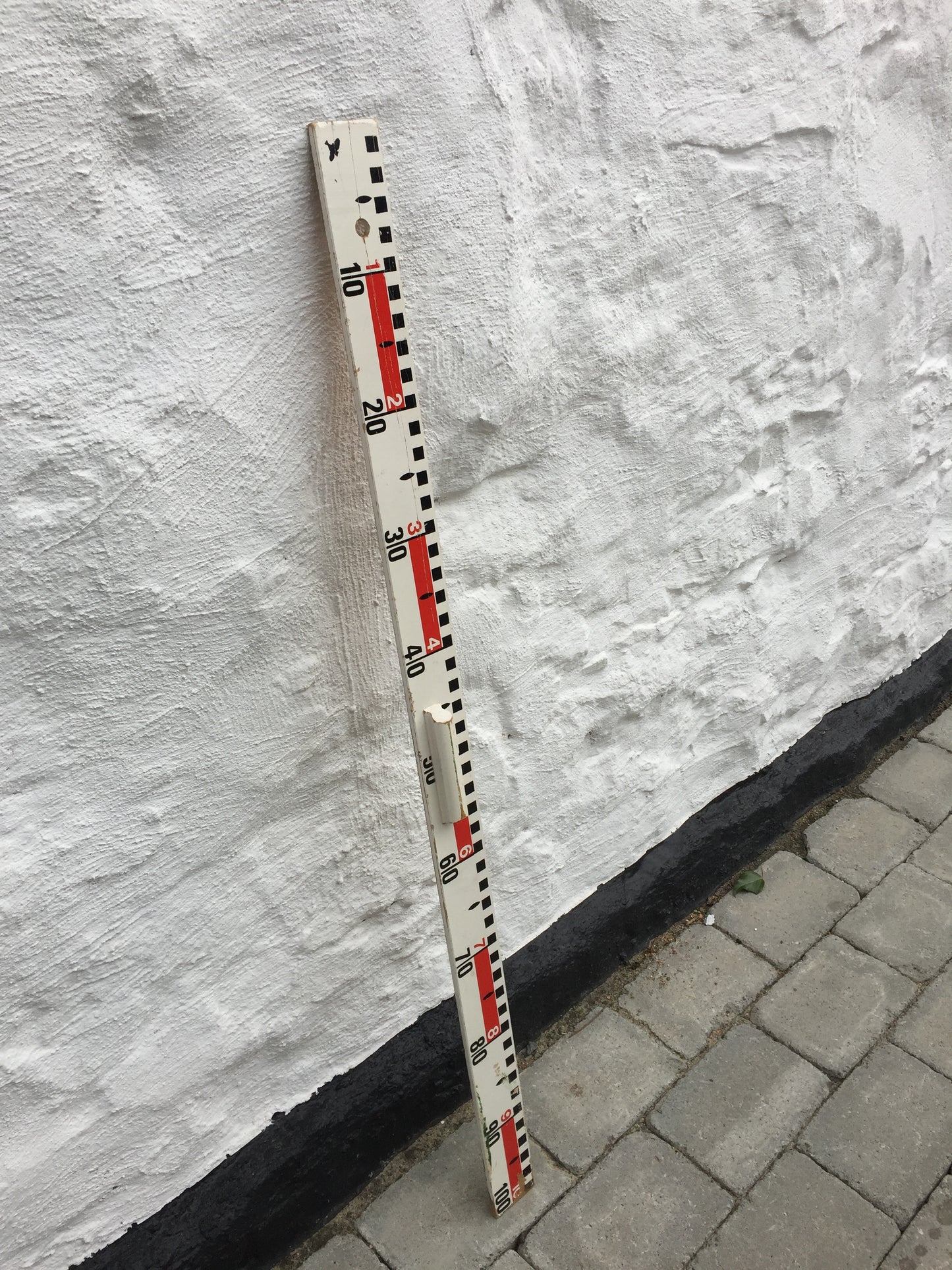 Stor fin skollinjal