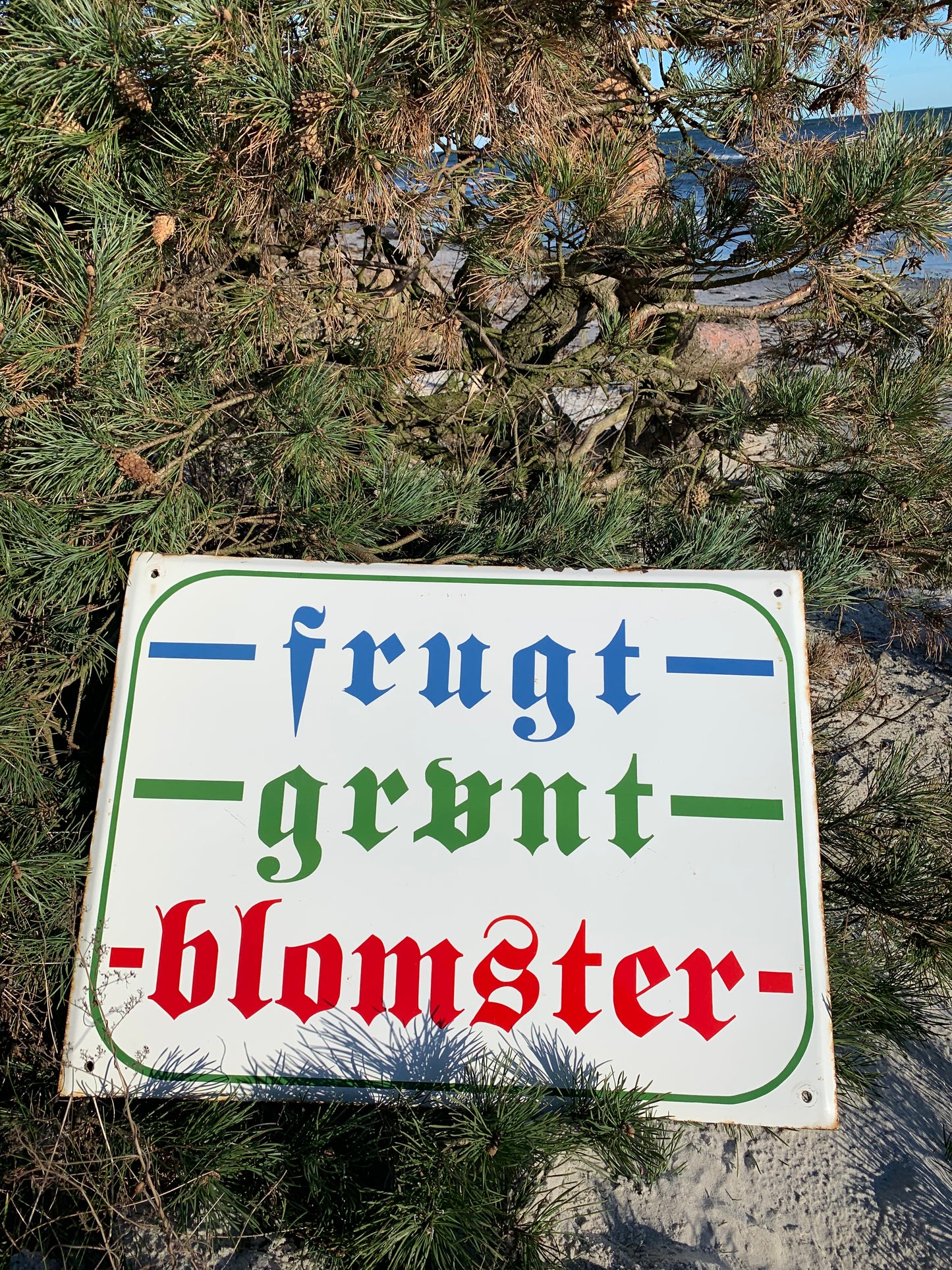 Stor emaljskylt - frukt, grönsaker och blommor