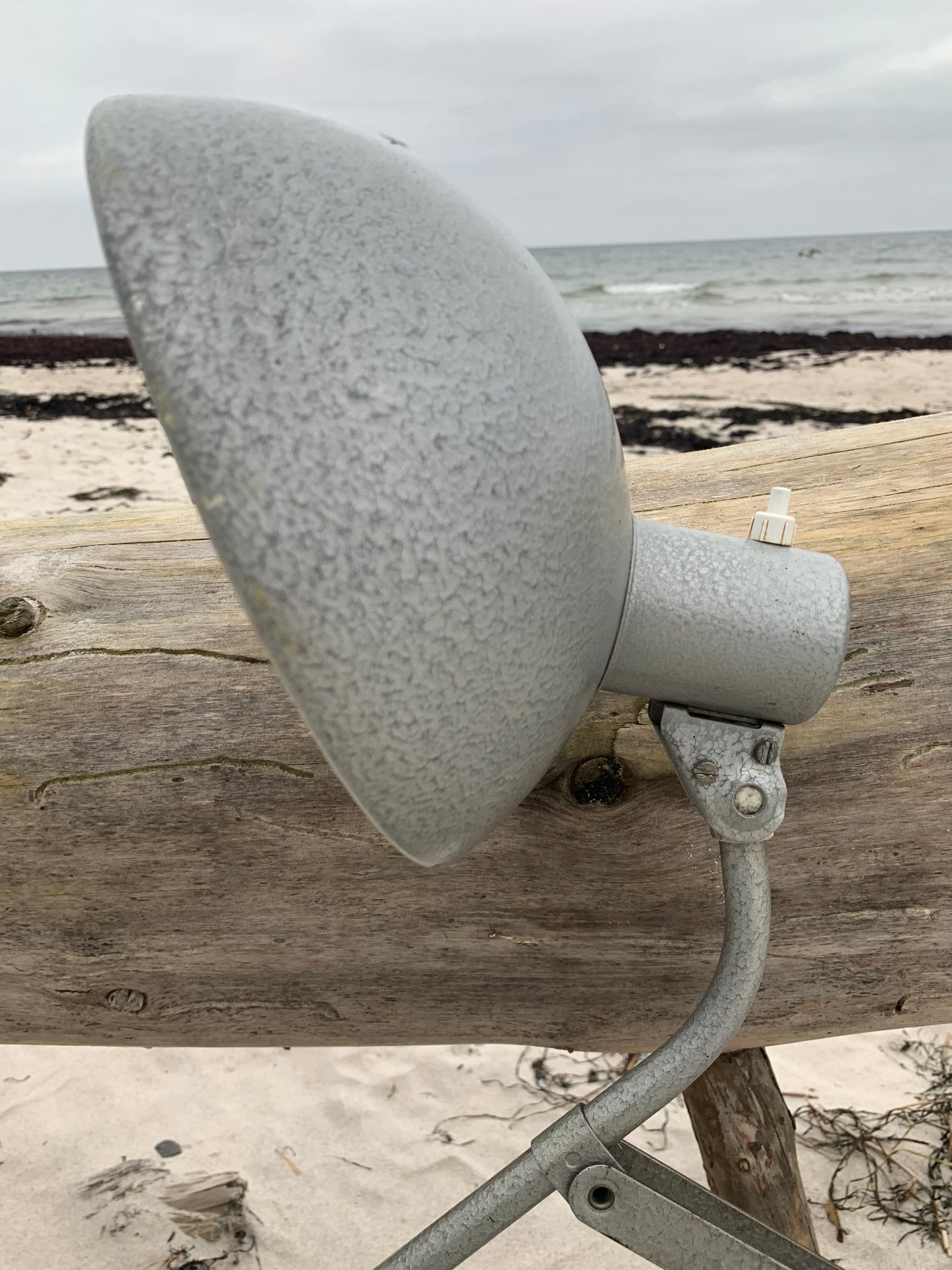 Saxlampa - Grå hammarlack