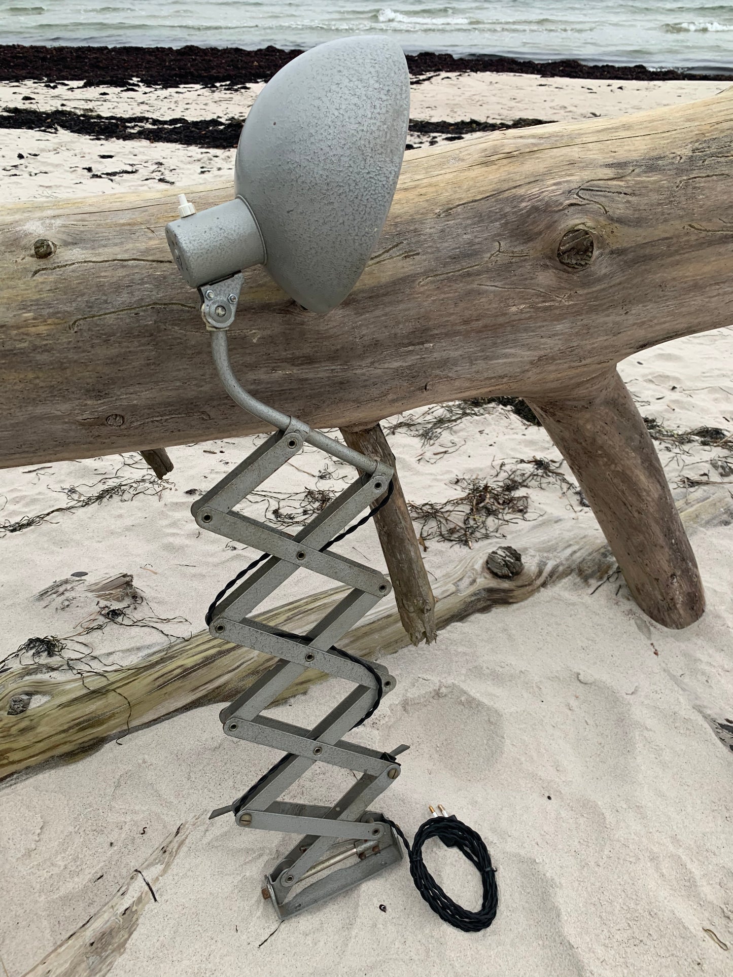 Saxlampa - Grå hammarlack